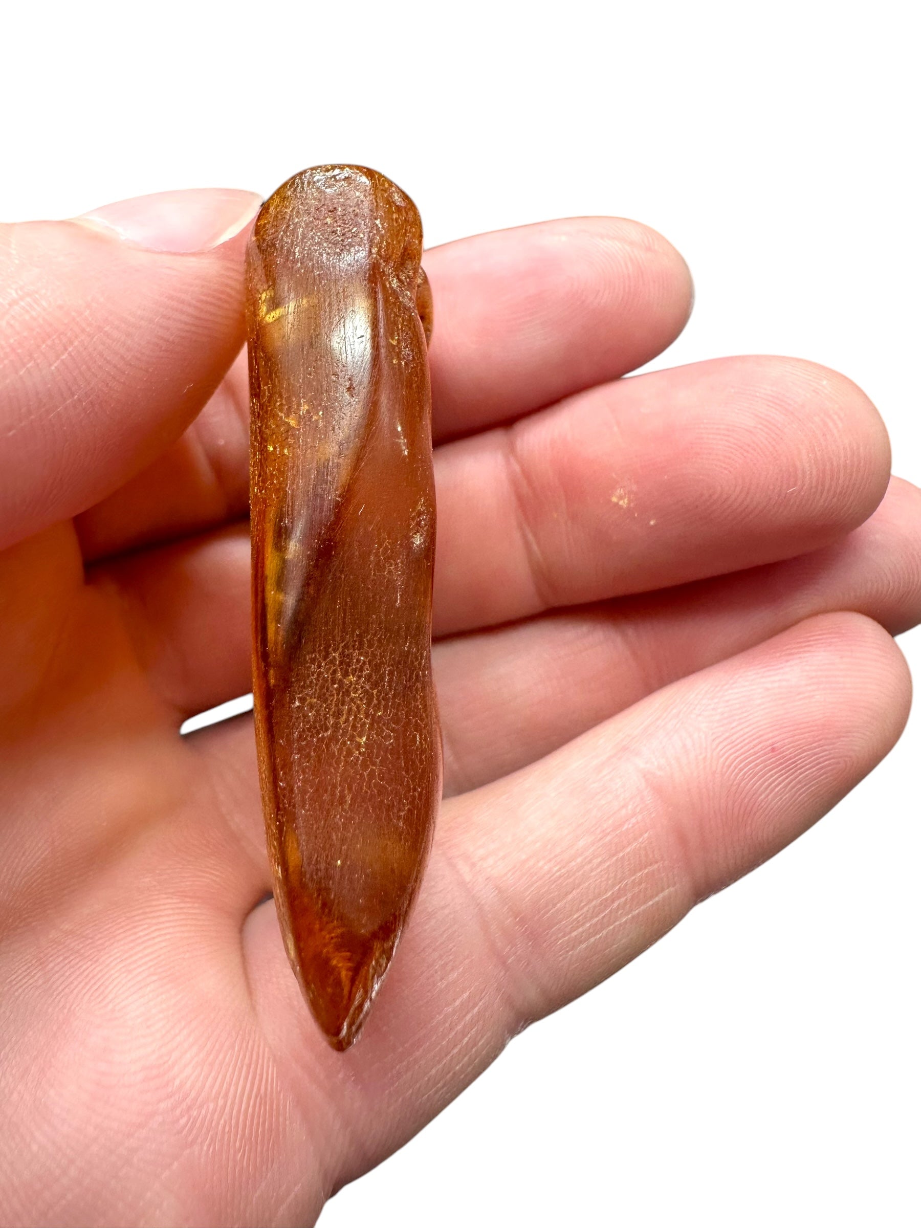 Insects in young amber (copal) – Santander, Colombia - IJ064