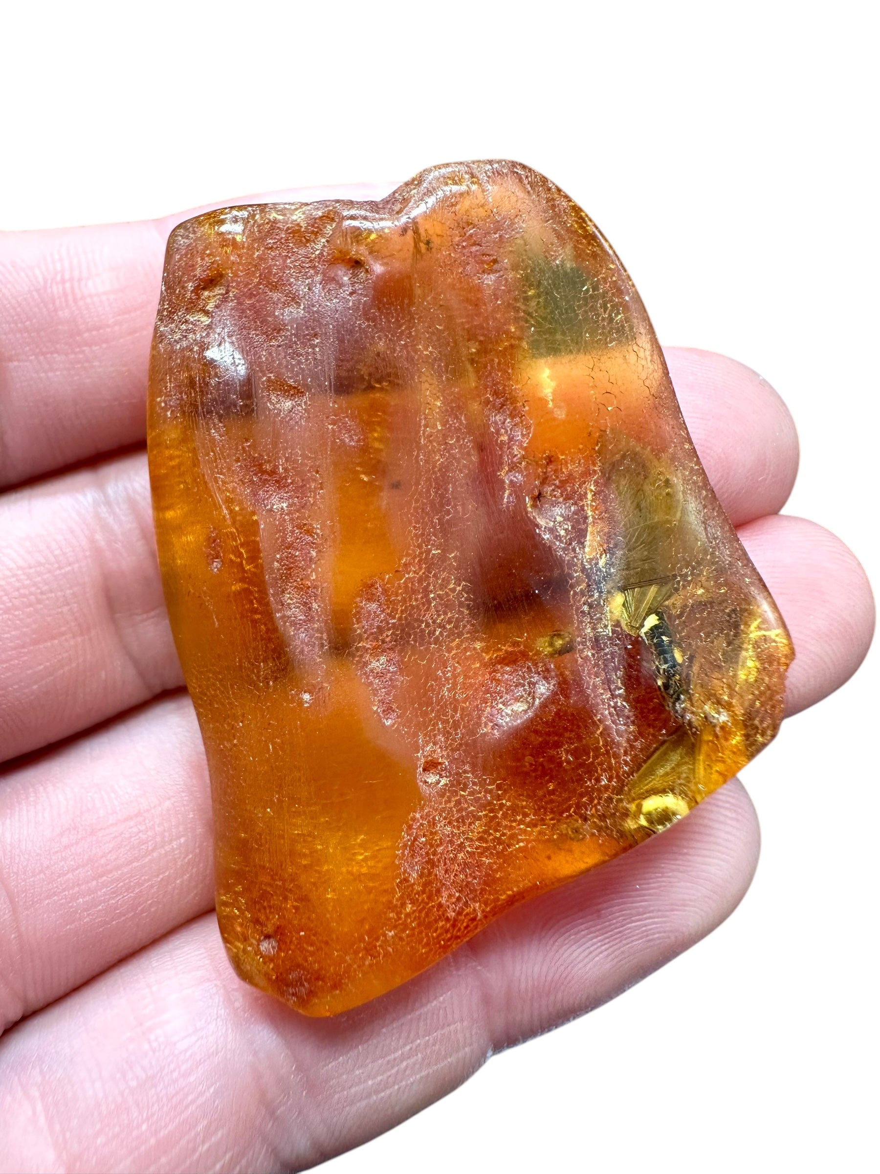 Insects in young amber (copal) – Santander, Colombia