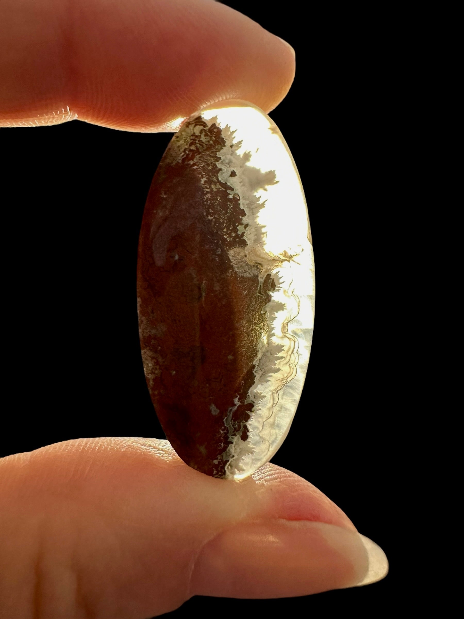 Moos agate cabochon – West Java, Indonesia - MECH72