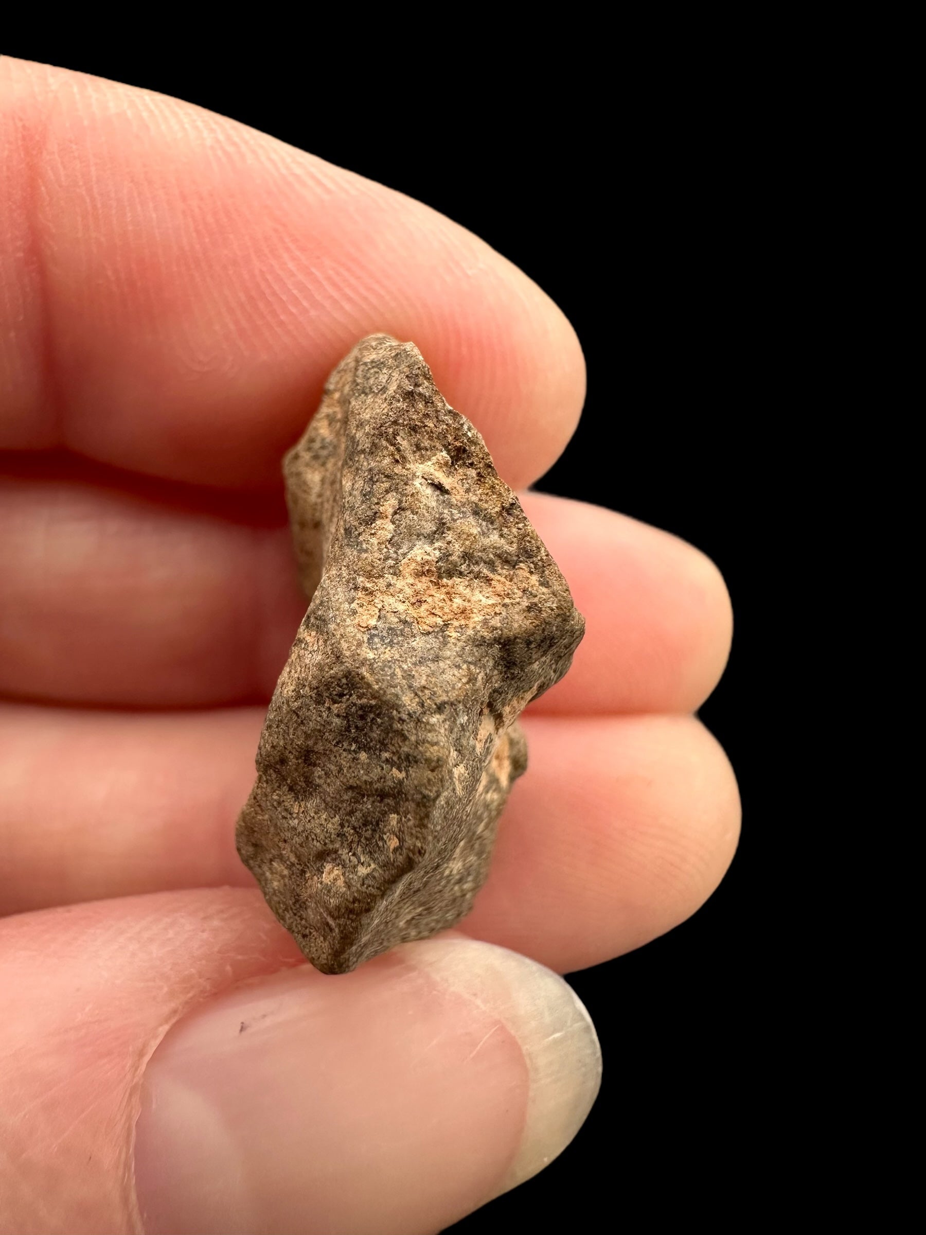 Meteorite Al Haggounia 001 – 4,9g – Western Sahara - MEAH59
