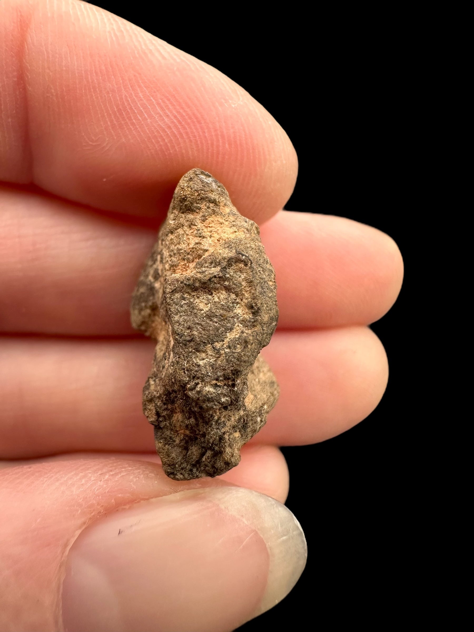 Meteorite Al Haggounia 001 – 4,9g – Western Sahara - MEAH59