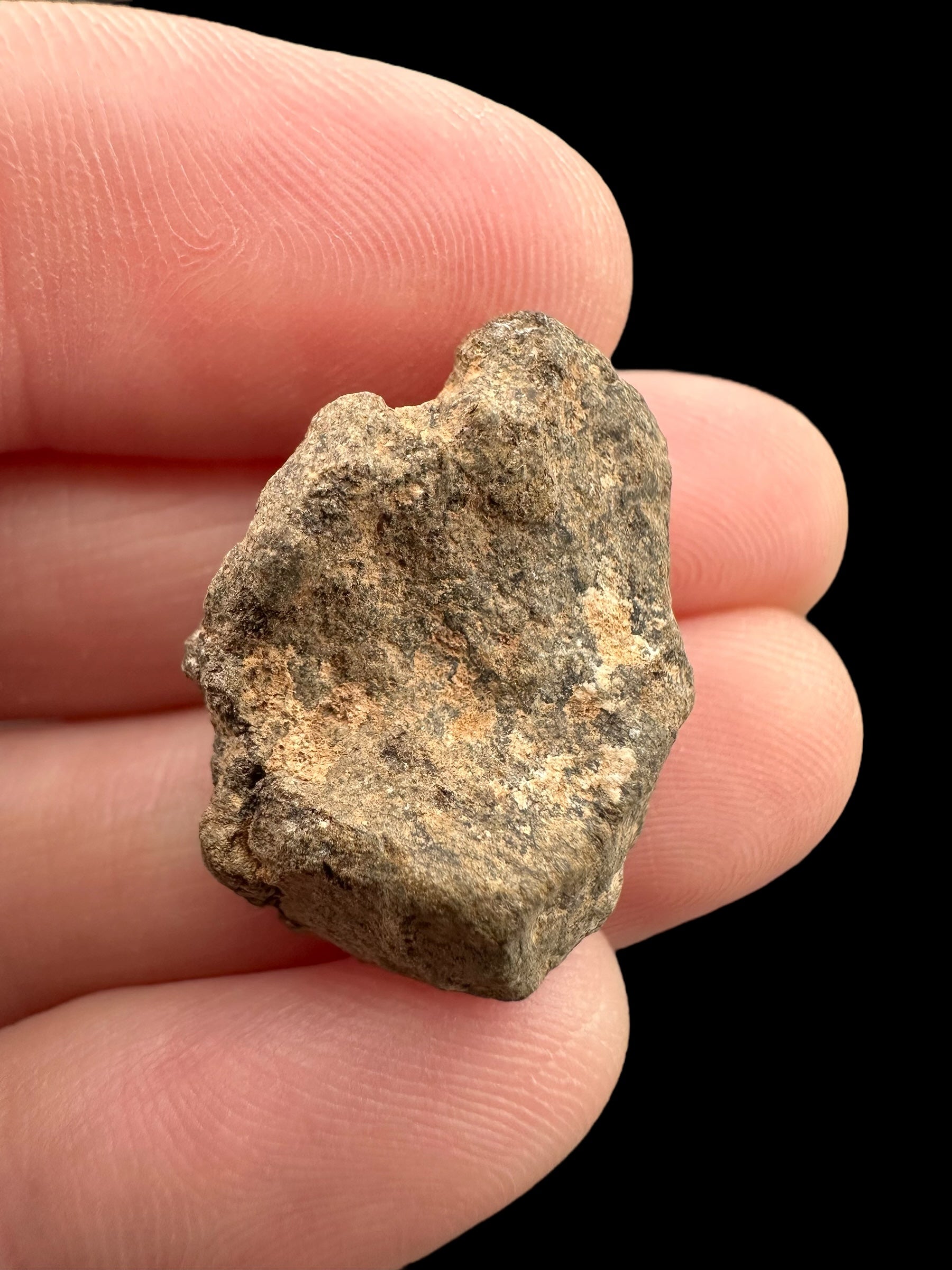 Meteorite Al Haggounia 001 – 4,9g – Western Sahara
