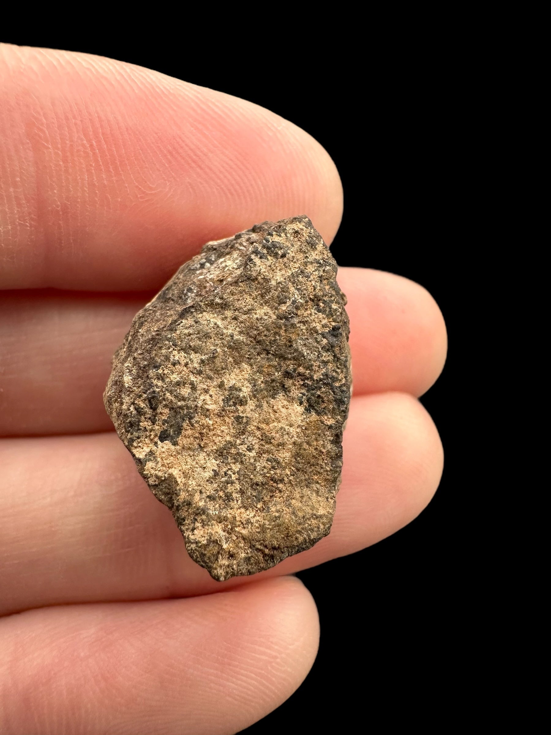 Meteorite Al Haggounia 001 – 5,8g – Western Sahara - MEAH60