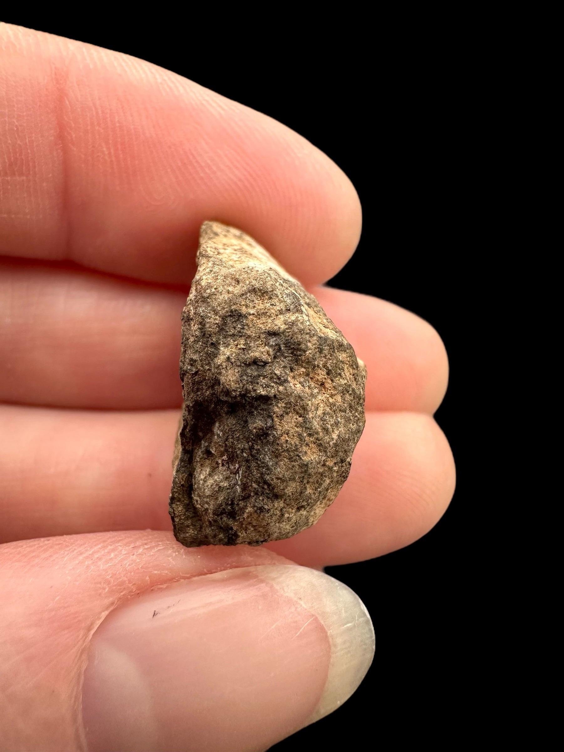 Meteorite Al Haggounia 001 – 5,8g – Western Sahara - MEAH60