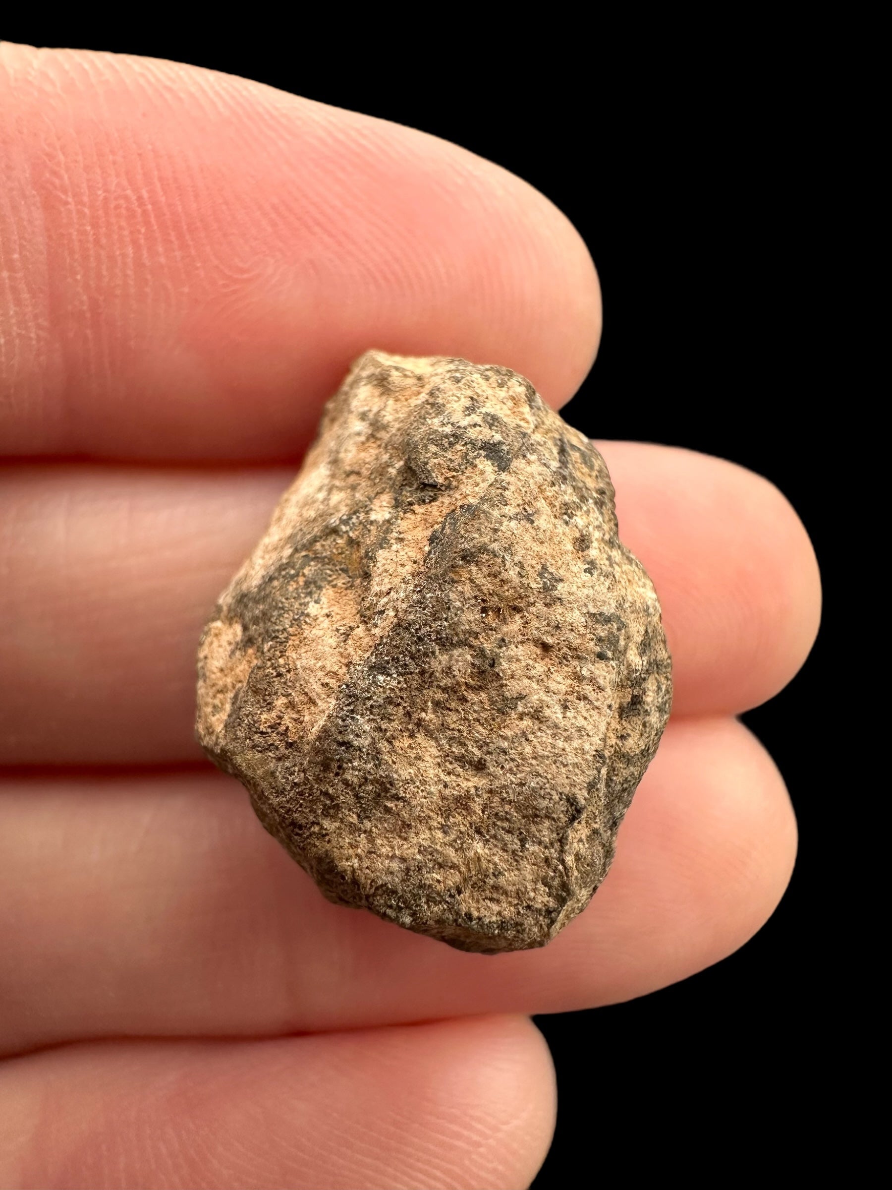 Meteorite Al Haggounia 001 – 5,8g – Western Sahara