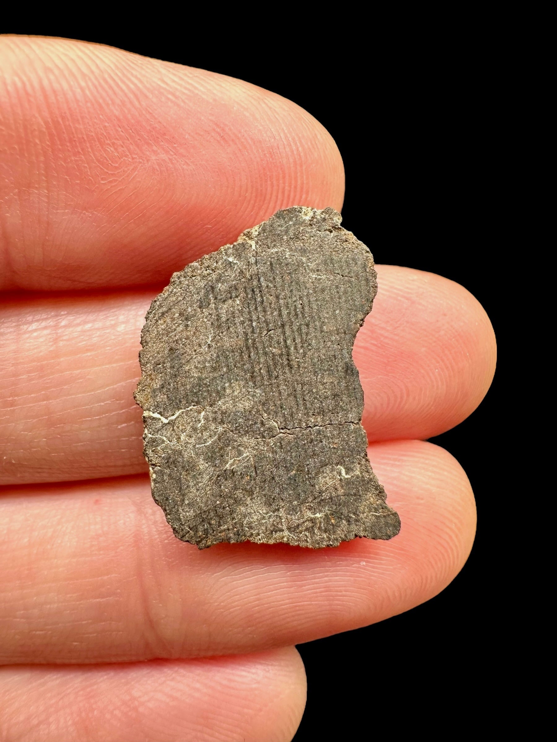 Meteorite Al Haggounia 001 – 1,3g – Western Sahara - MEAH63