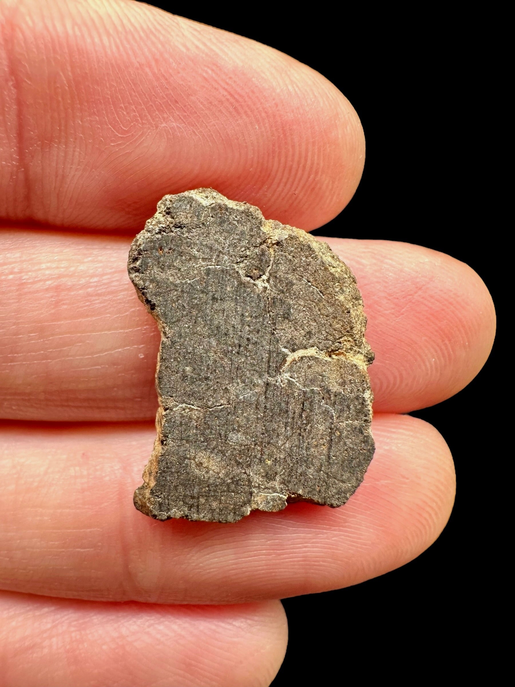 Meteorite Al Haggounia 001 – 1,3g – Western Sahara