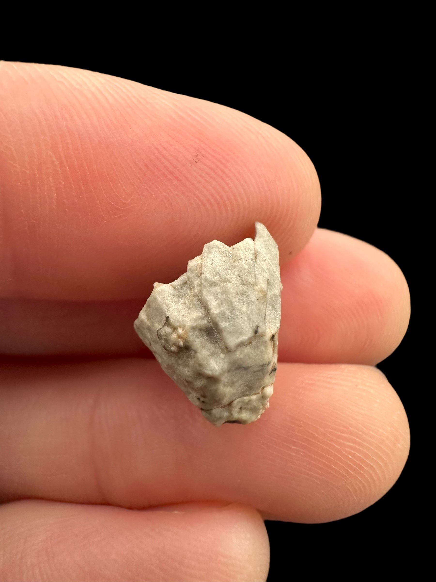 Meteorite Djoua 001 – 1,6g – Algeria - MEDJ21