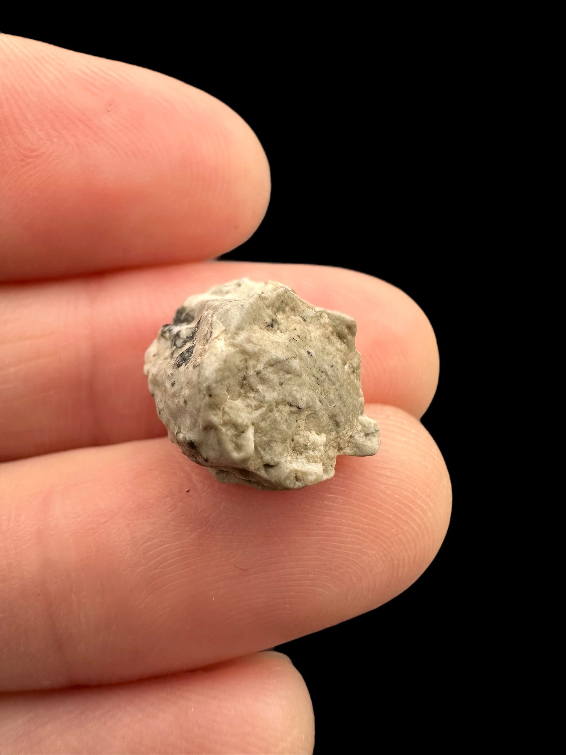 Meteorite Djoua 001 – 1,6g – Algeria - MEDJ21