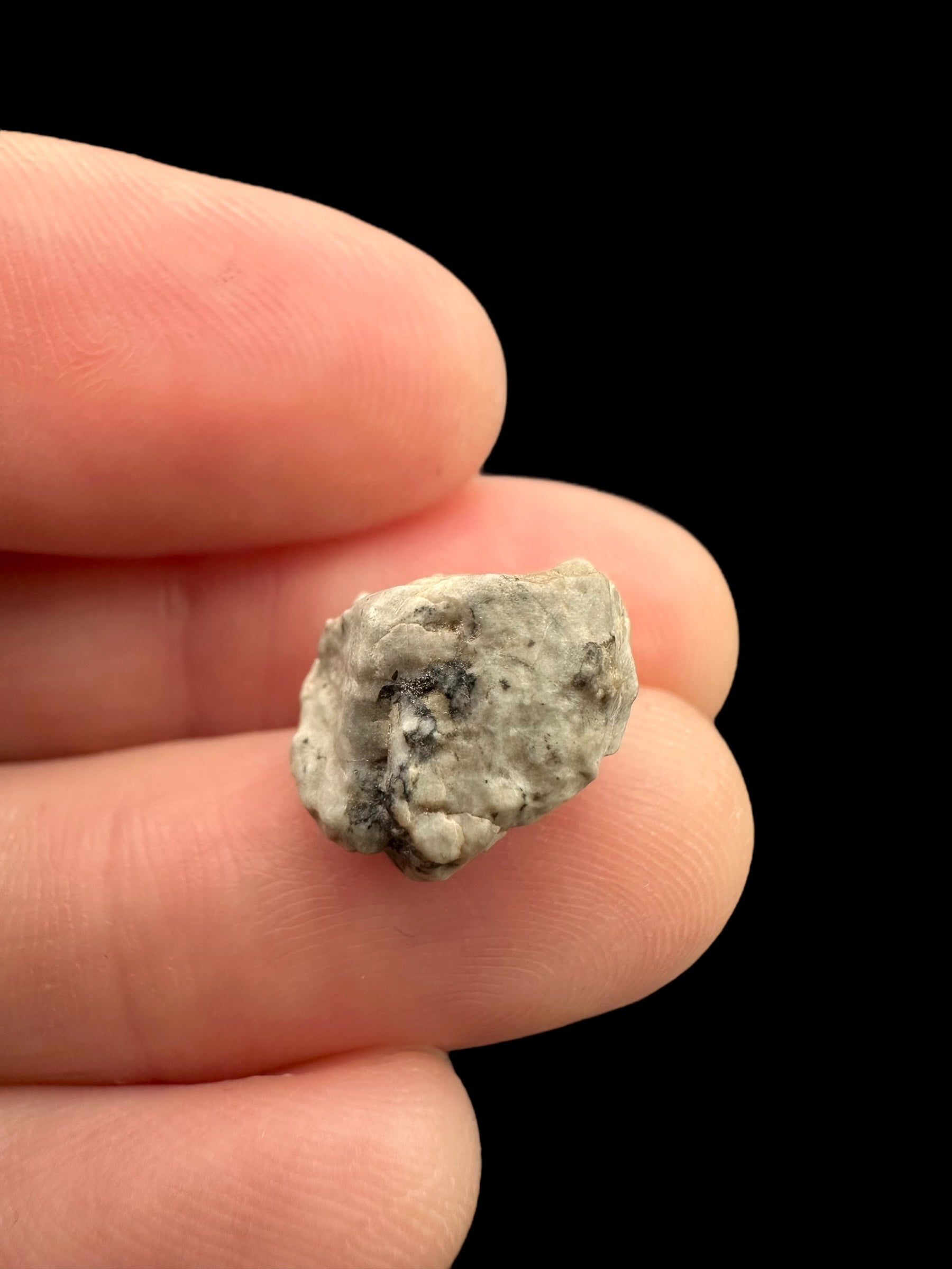 Meteorite Djoua 001 – 1,6g – Algeria - MEDJ21