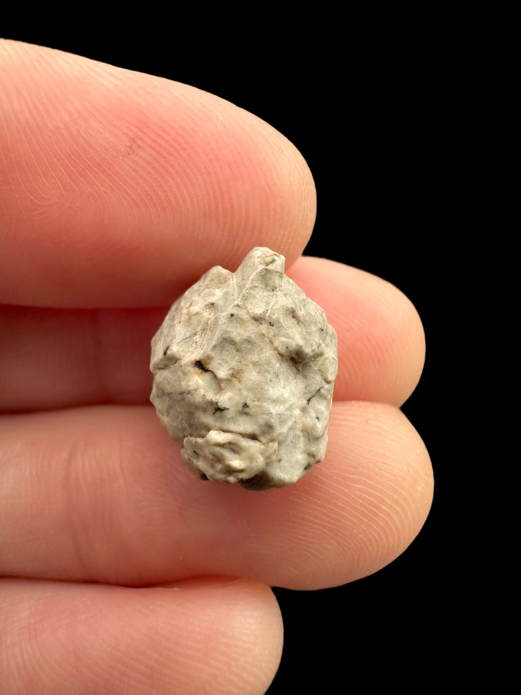 Meteorite Djoua 001 – 1,6g – Algeria