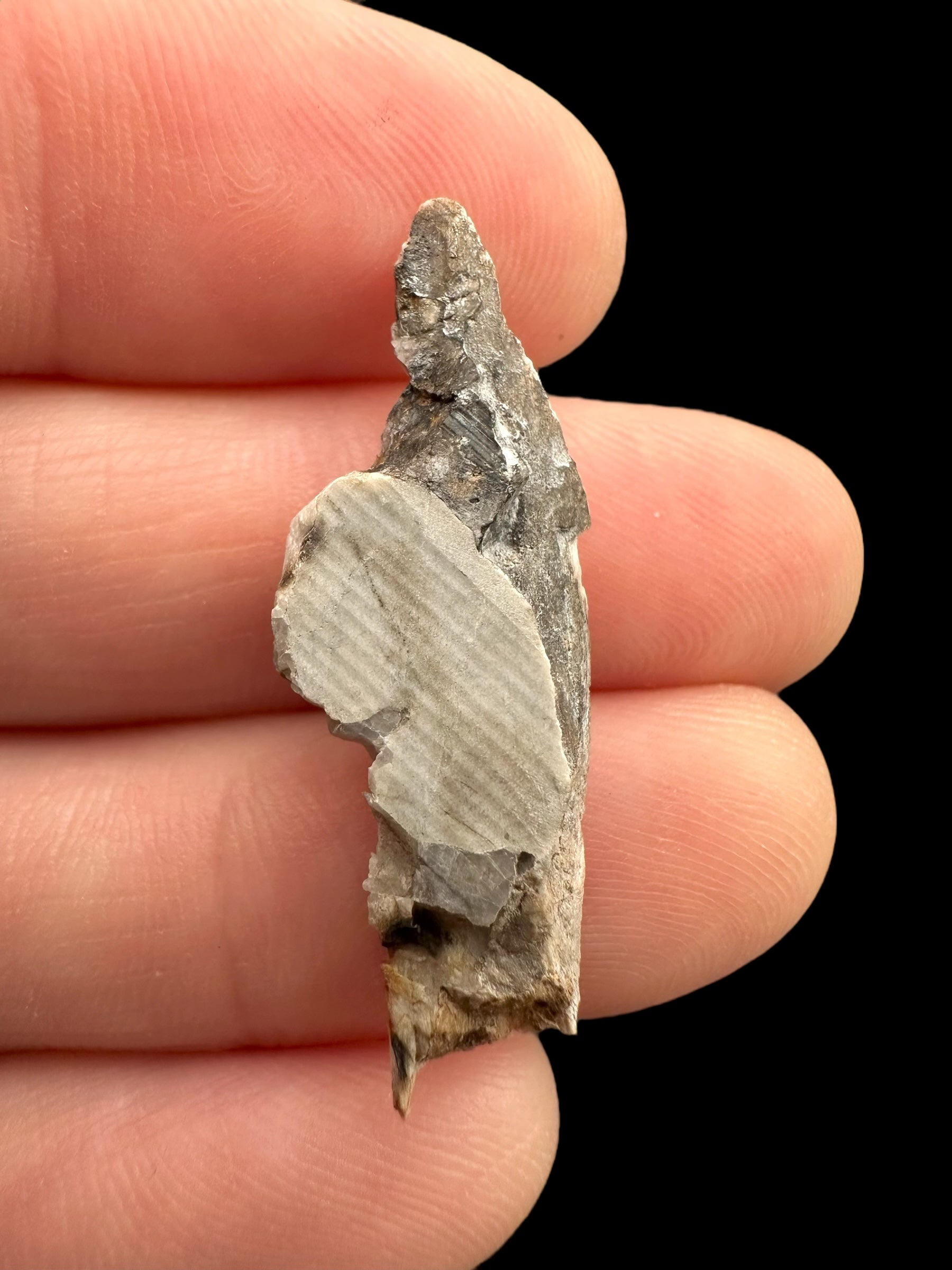 Meteorite Djoua 001 – 1,3g – Algeria - MEDJ22