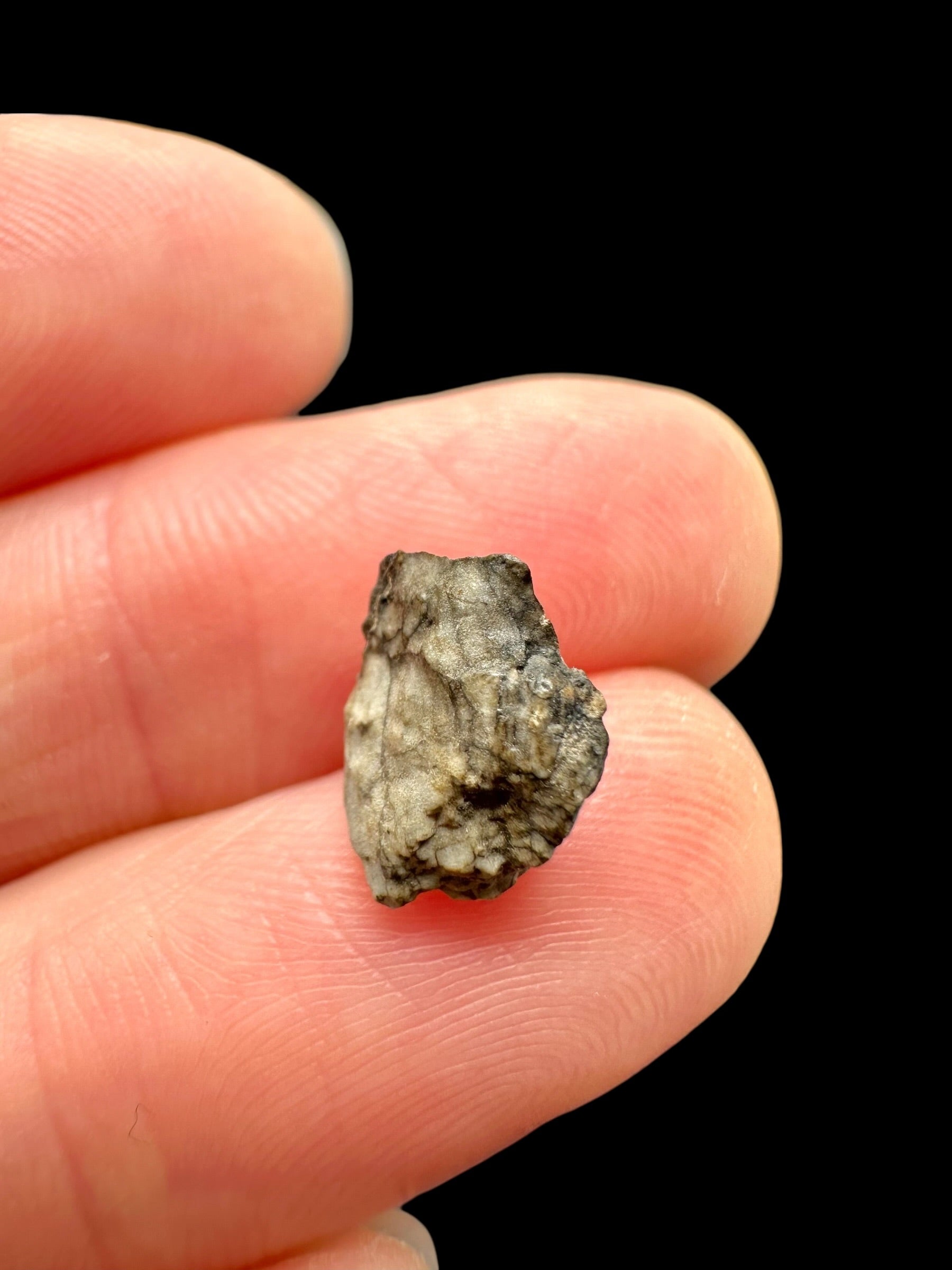 Meteorite Djoua 001 – 0,5g – Algeria - MEDJ23