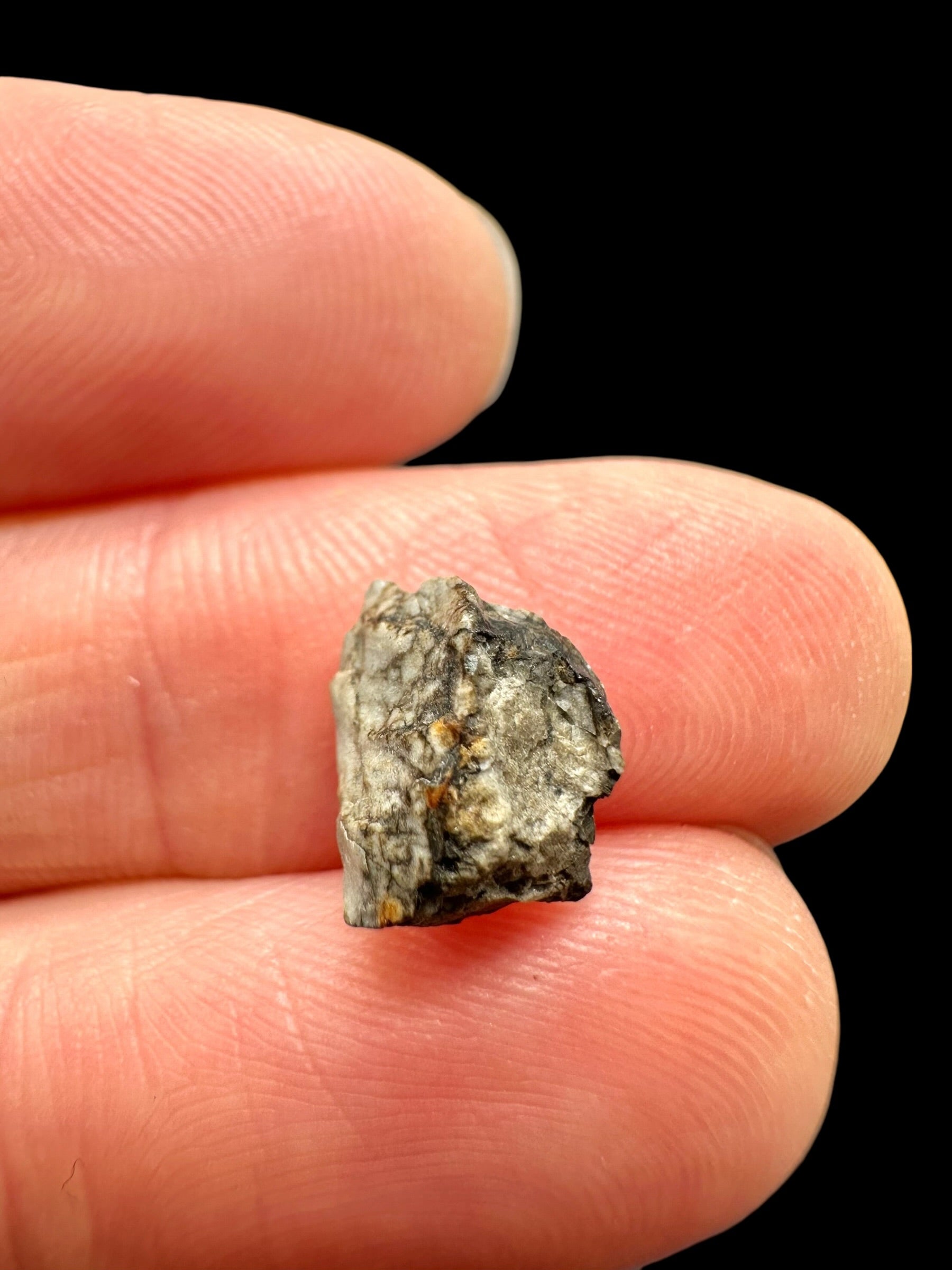 Meteorite Djoua 001 – 0,5g – Algeria - MEDJ23