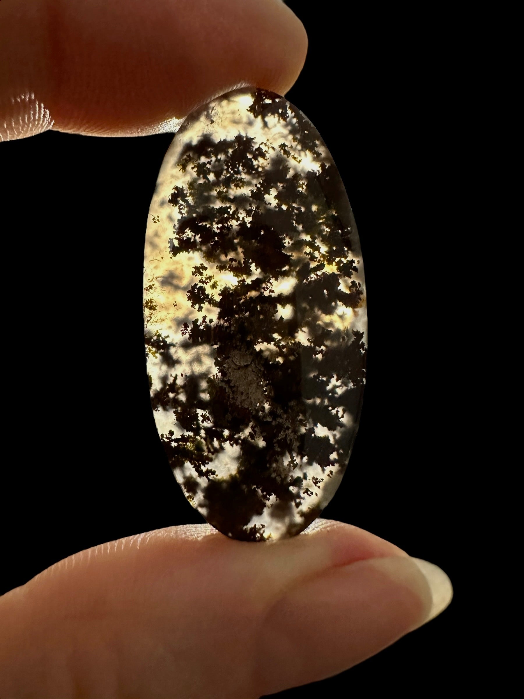 Moos agate cabochon – West Java, Indonesia - MECH86