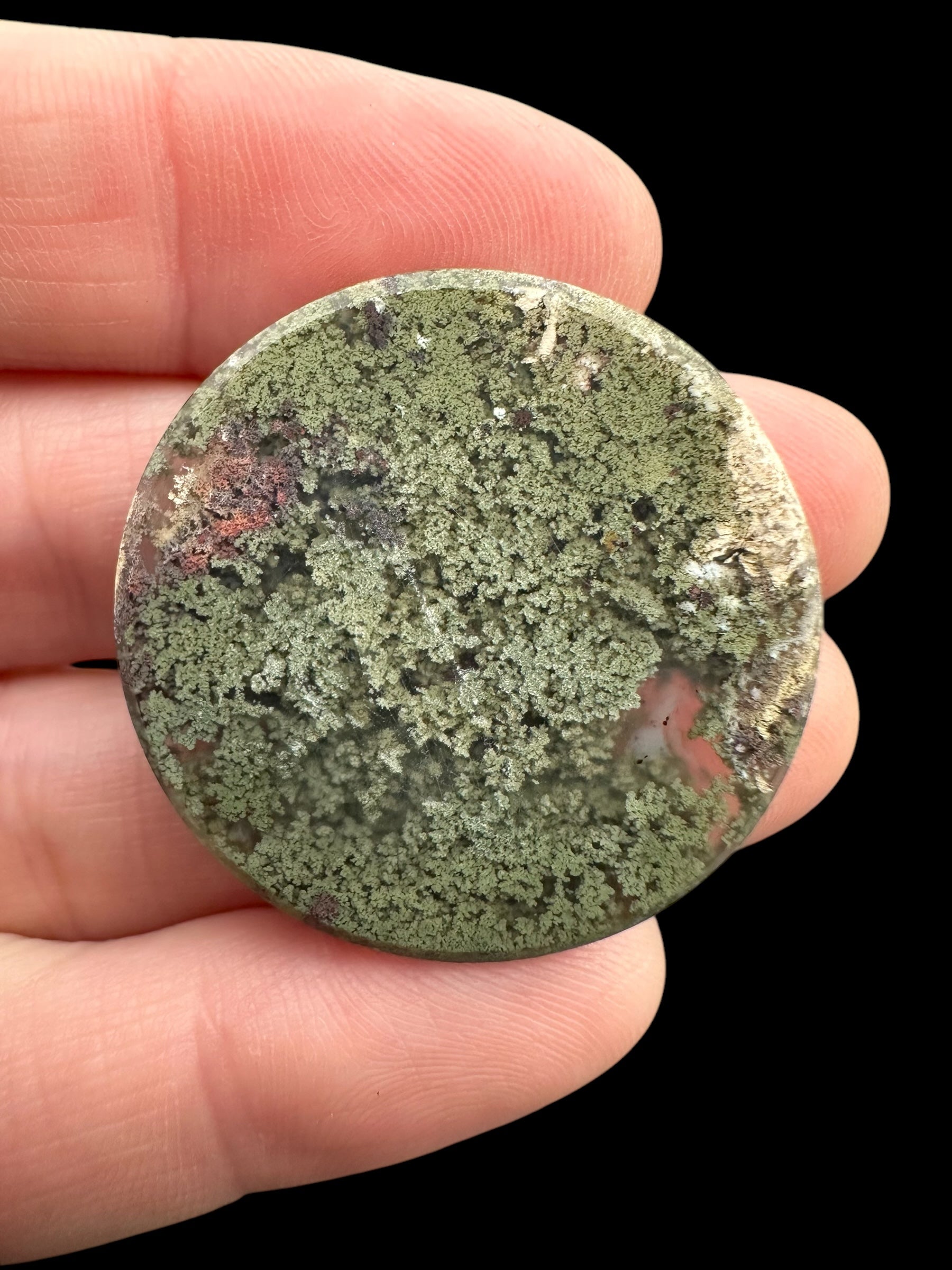 Moos agate cabochon – West Java, Indonesia - MECH87