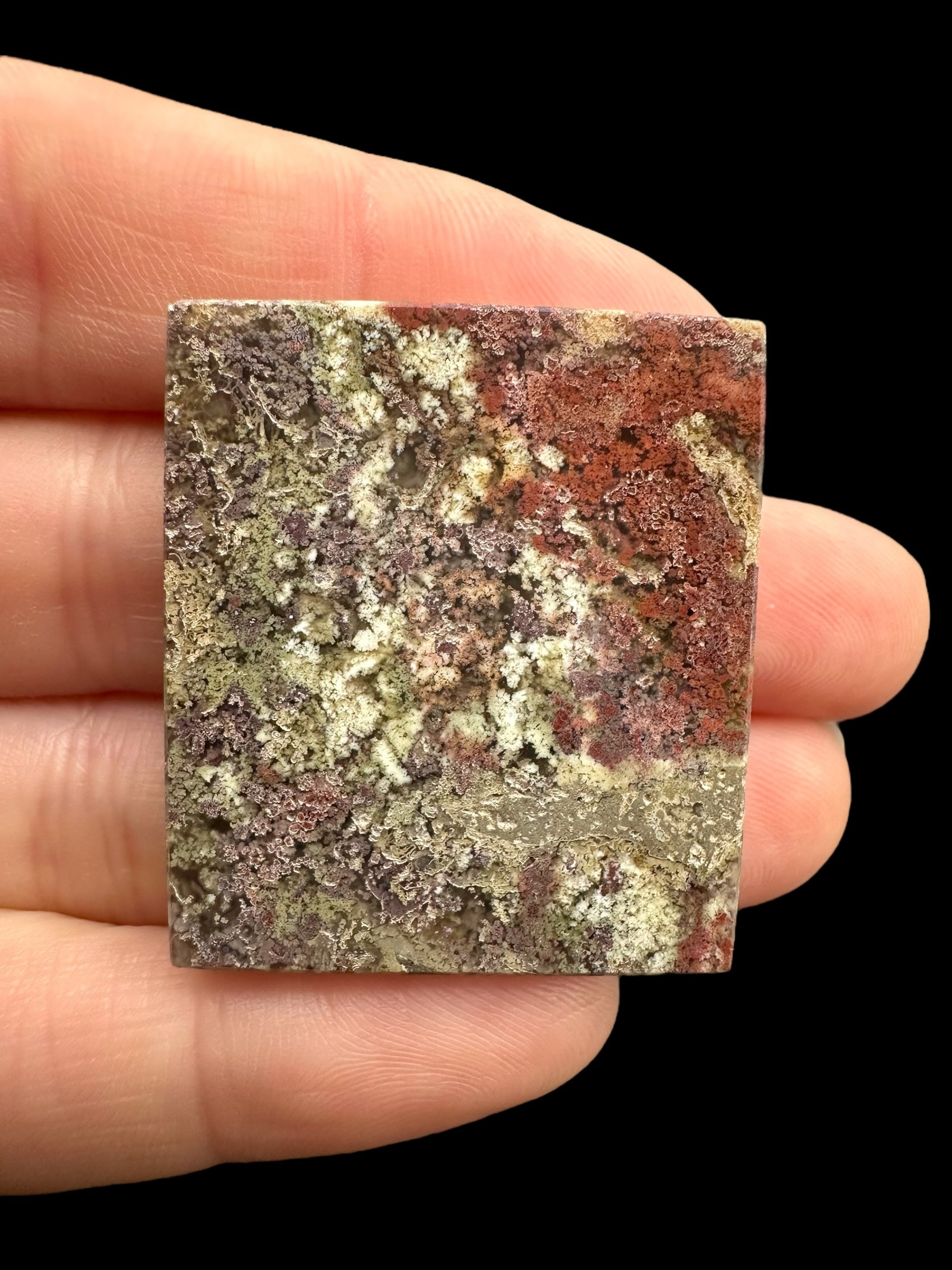 Moos agate plate – West Java, Indonesia - MECH90