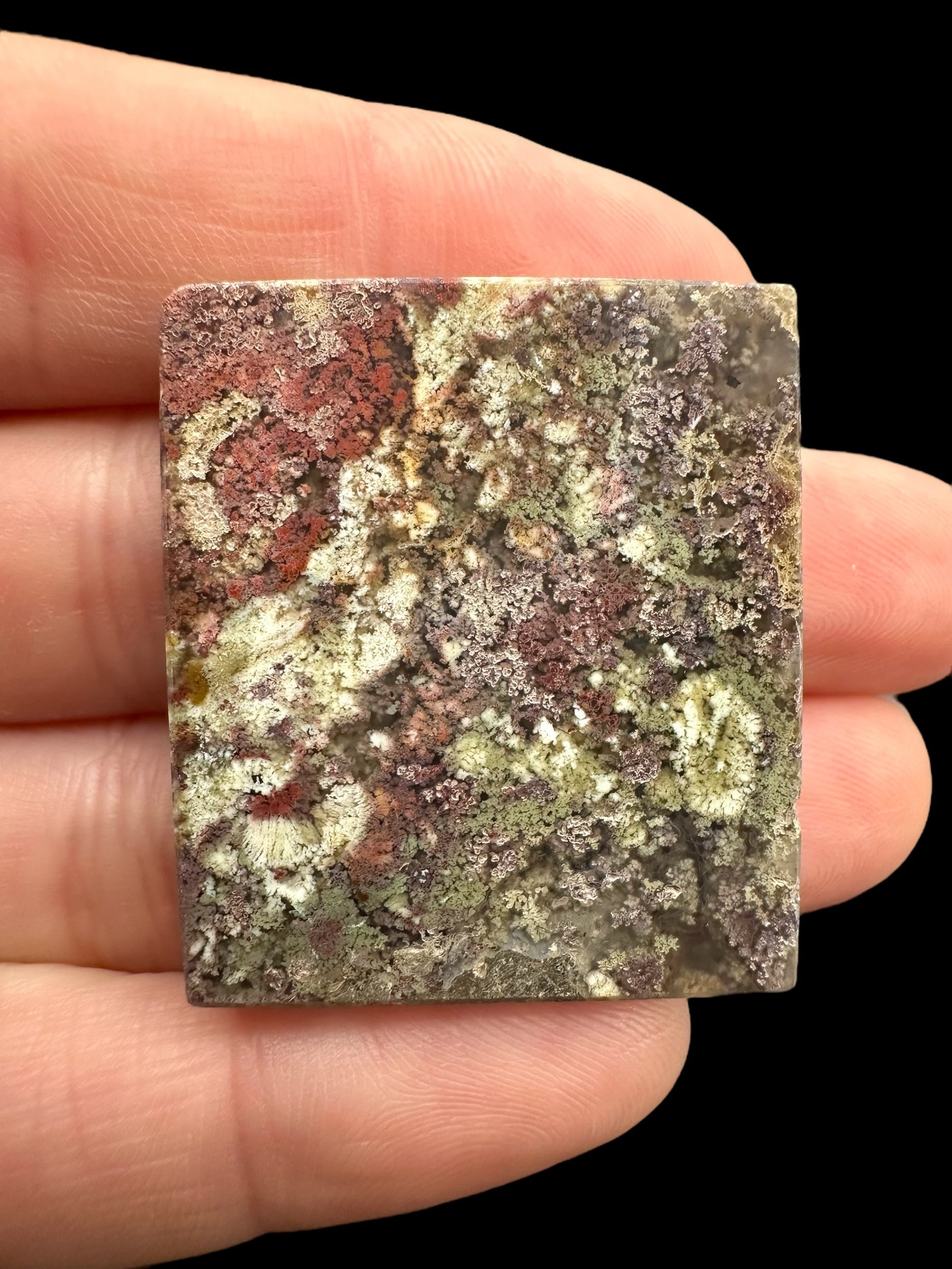 Moos agate plate – West Java, Indonesia