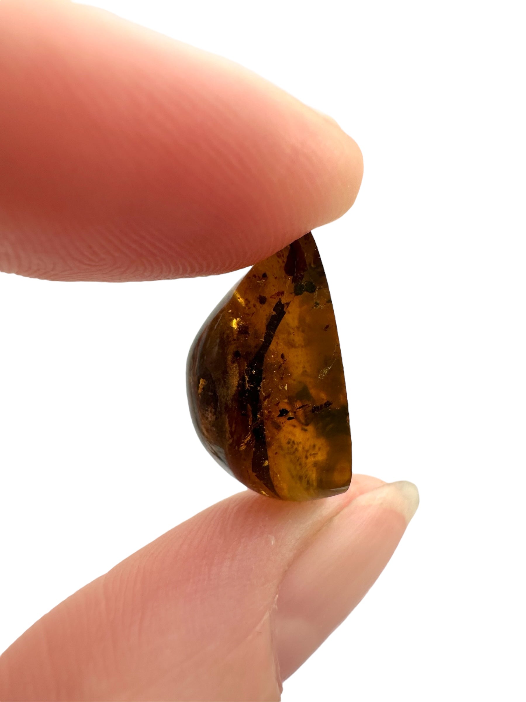 Snail in amber – Hukawng, Myanmar - IJ066