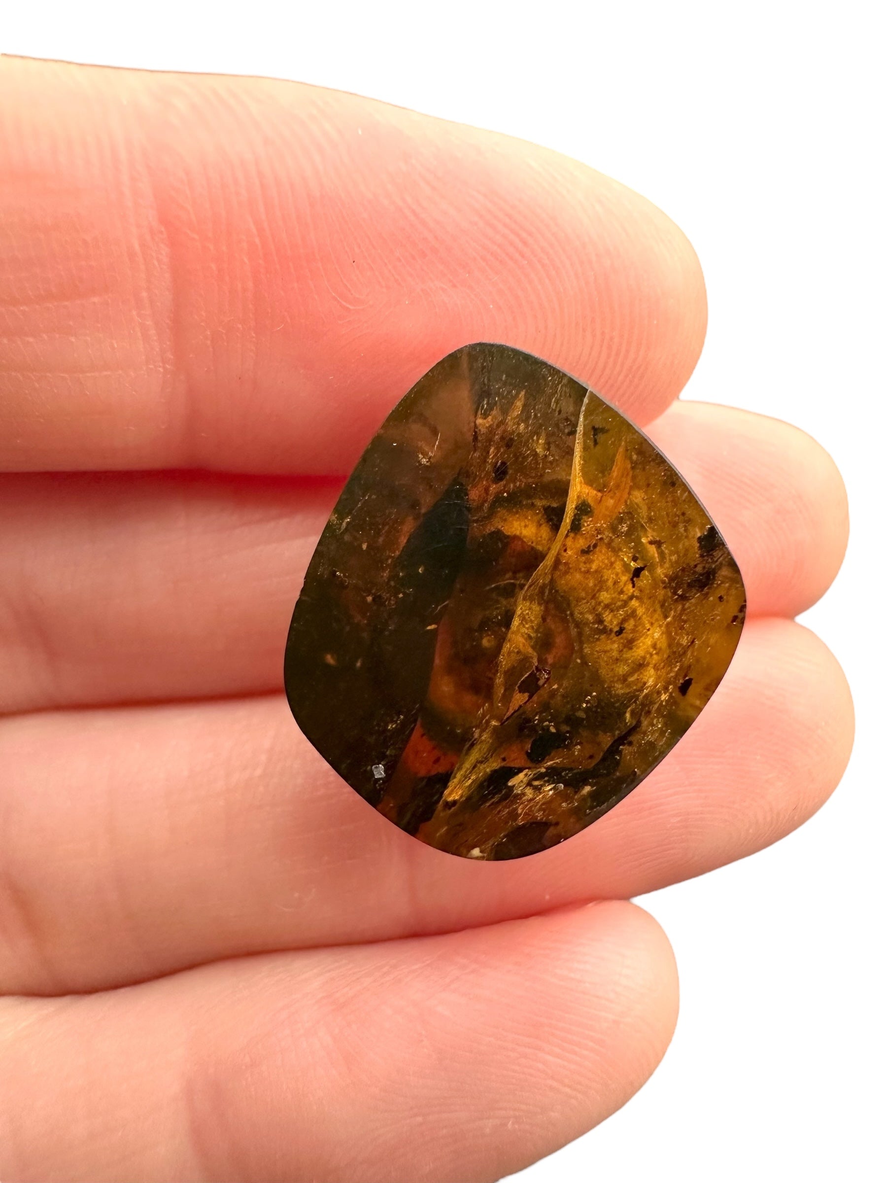 Snail in amber – Hukawng, Myanmar - IJ066