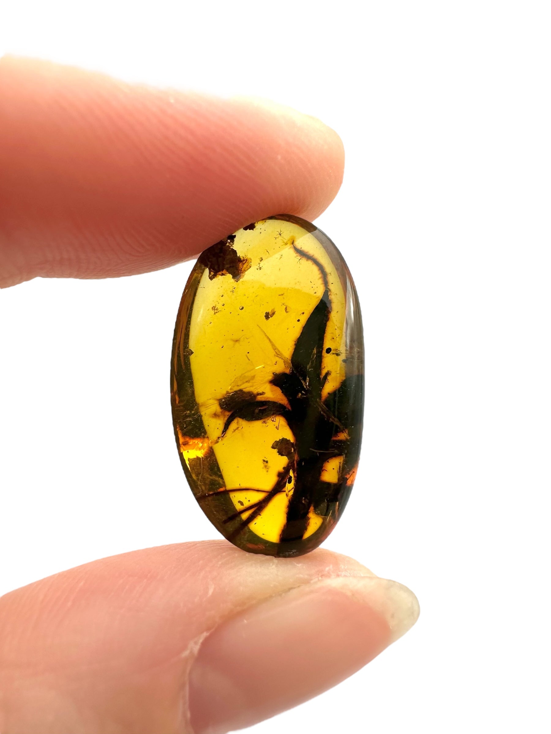 Flower in amber – Hukawng, Myanmar - IJ068