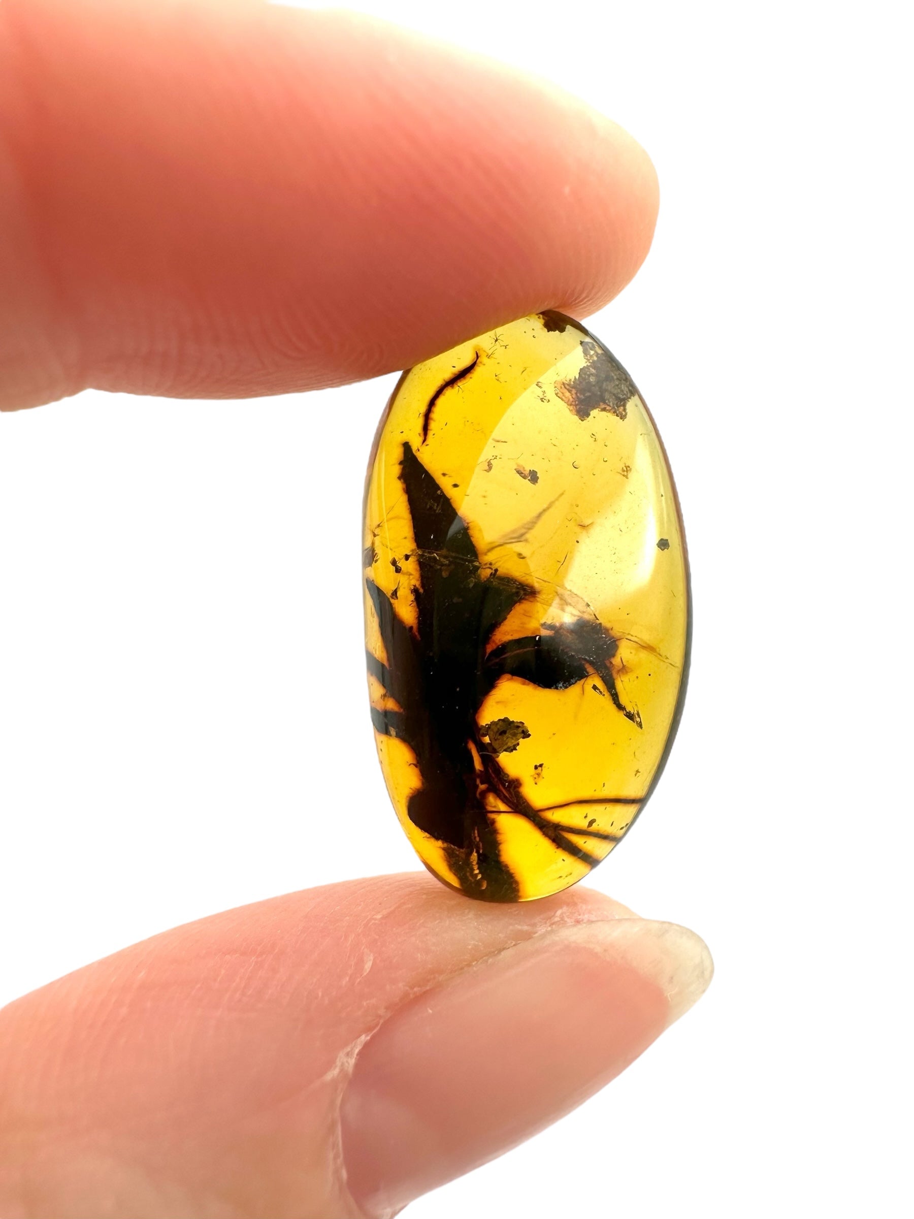 Flower in amber – Hukawng, Myanmar