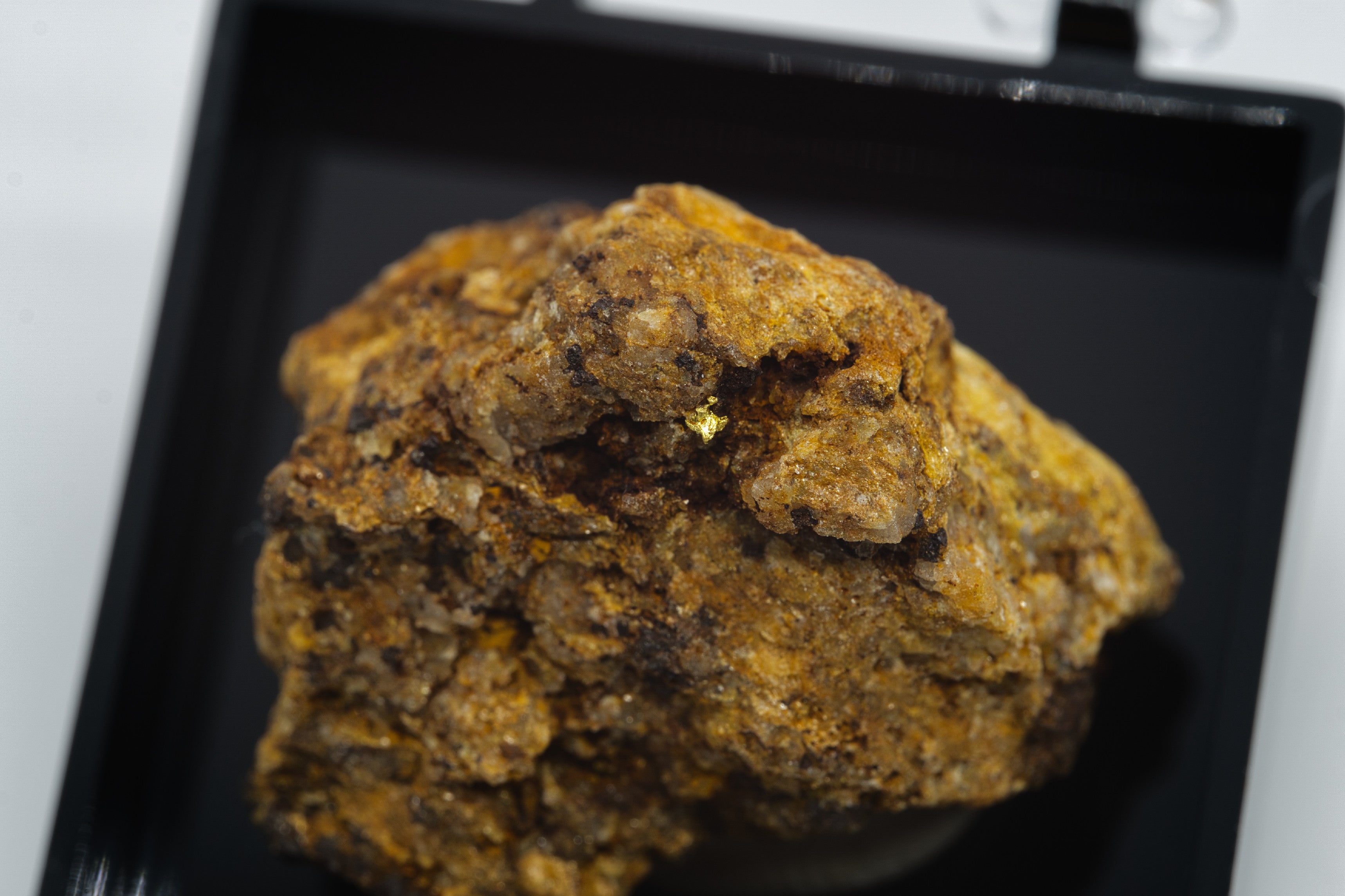 Gold – Zlate hory, CZ - ZL121