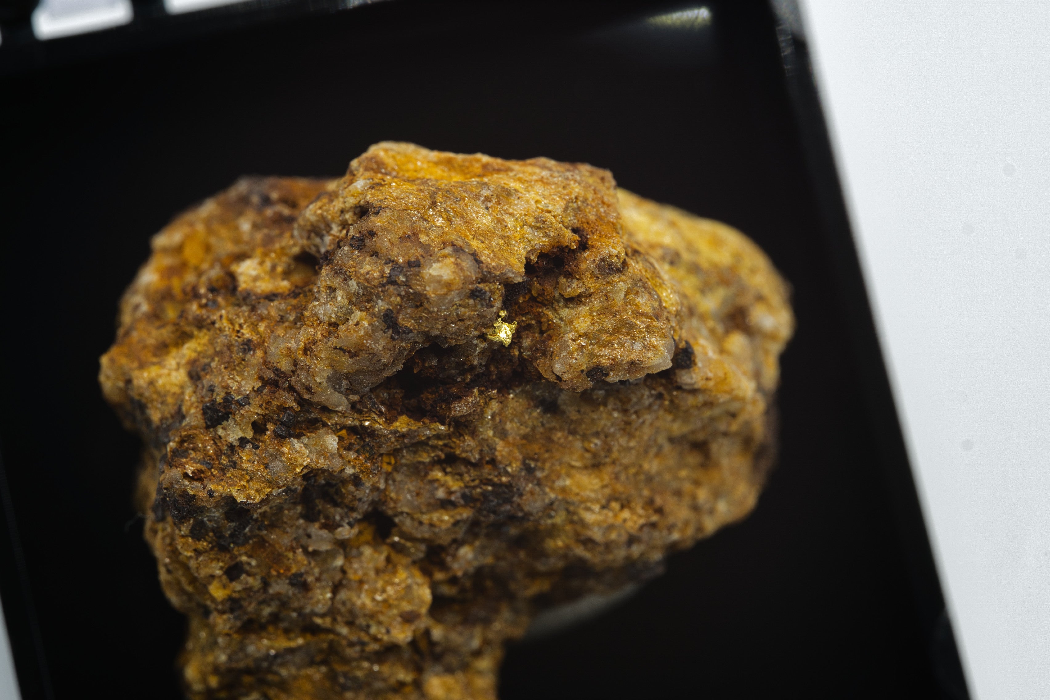 Gold – Zlate hory, CZ - ZL121