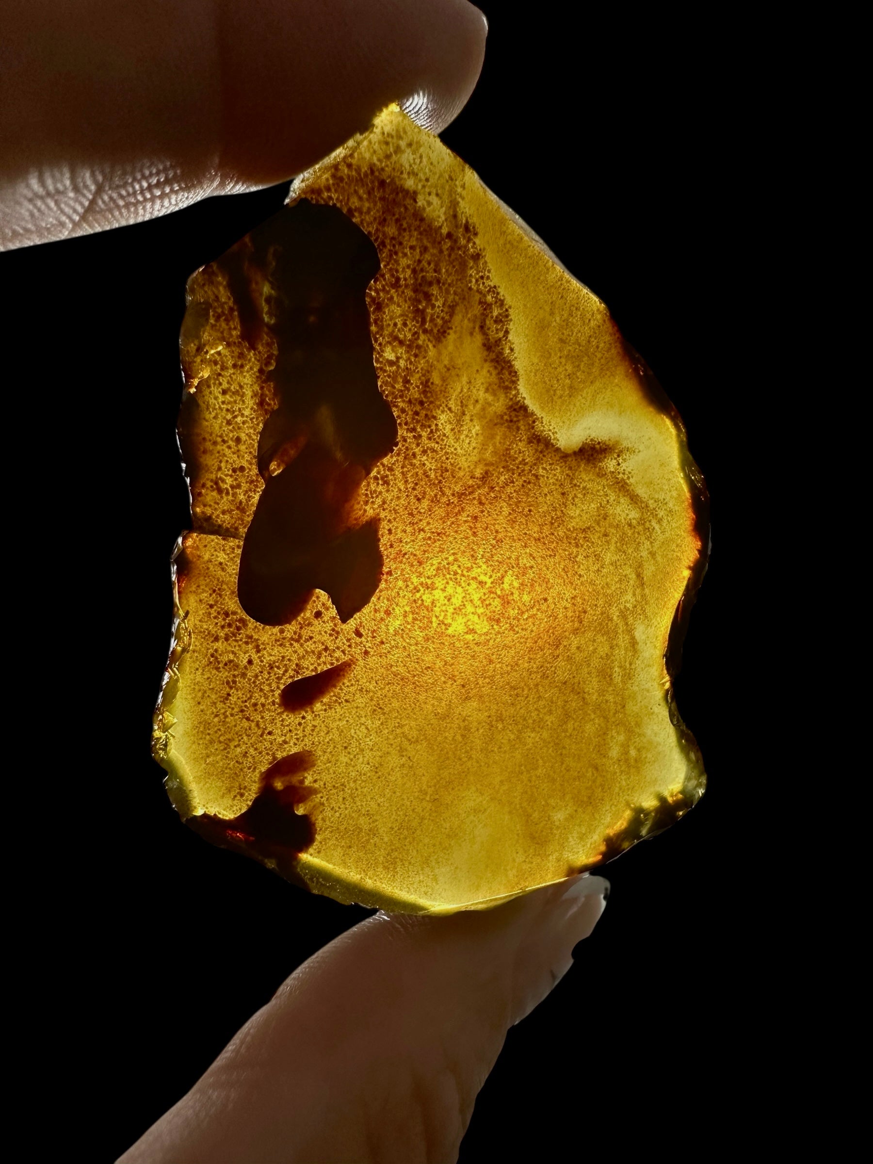 Amber slice – Sumatra, Indonesia - JN262