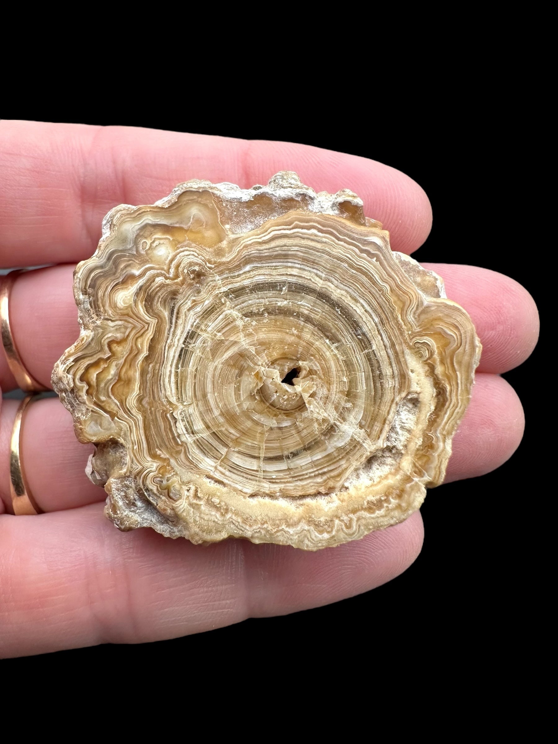 Cave calcite – Morocco - KAL001