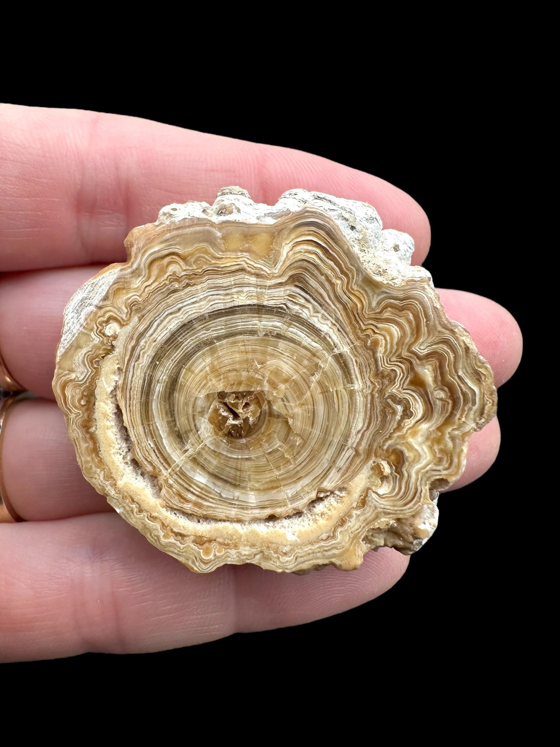 Cave calcite – Morocco