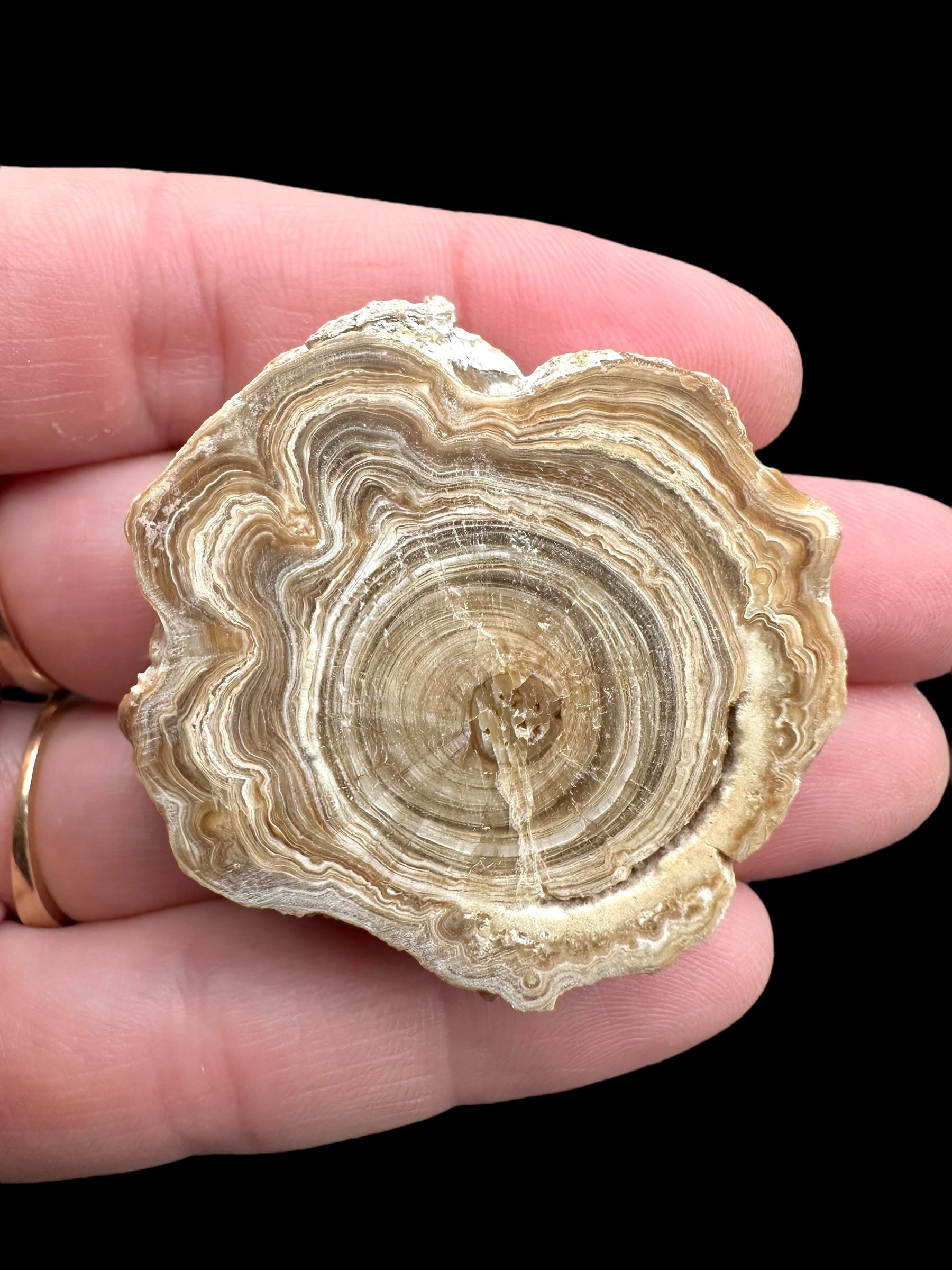 Cave calcite – Morocco - KAL004