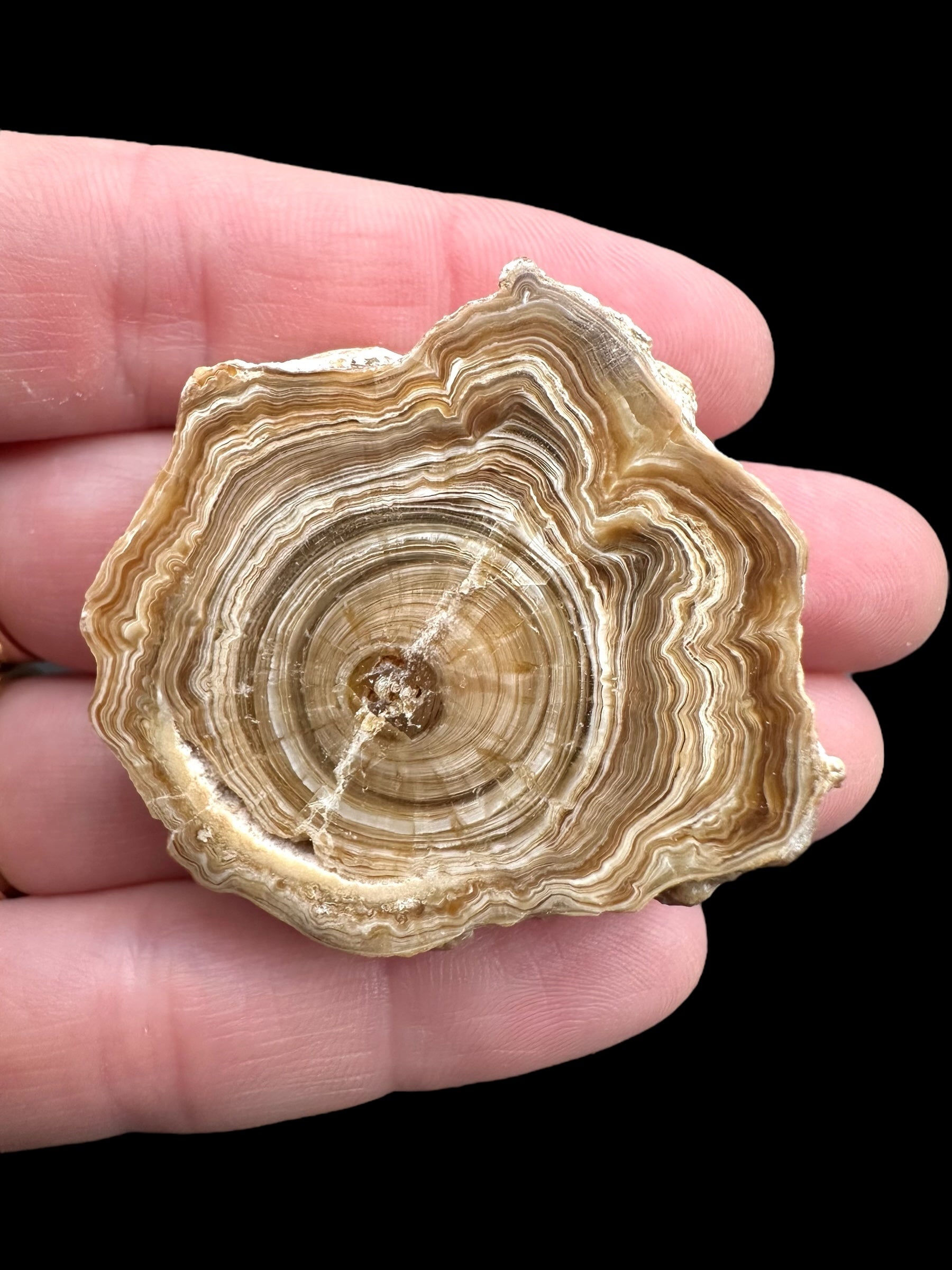 Cave calcite – Morocco