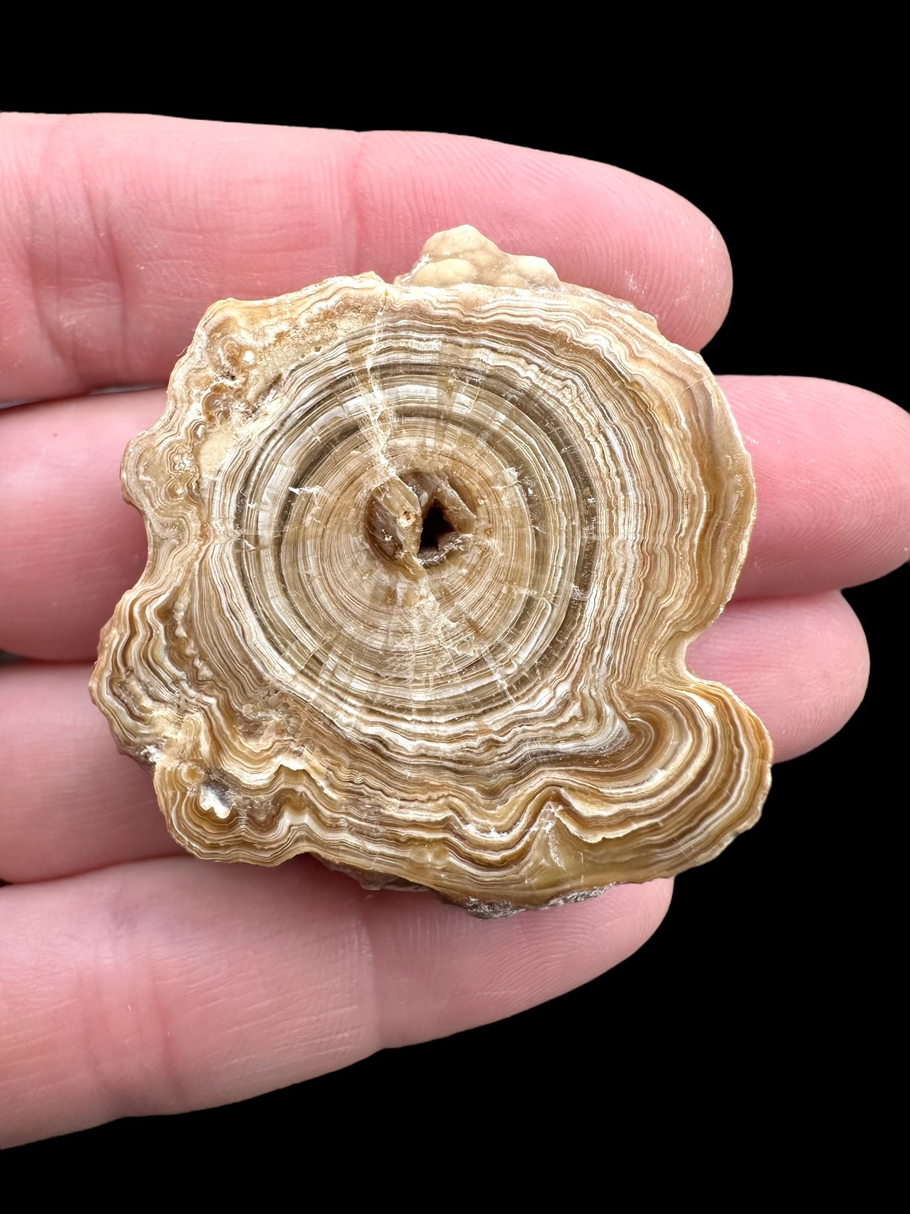 Cave calcite – Morocco - KAL005
