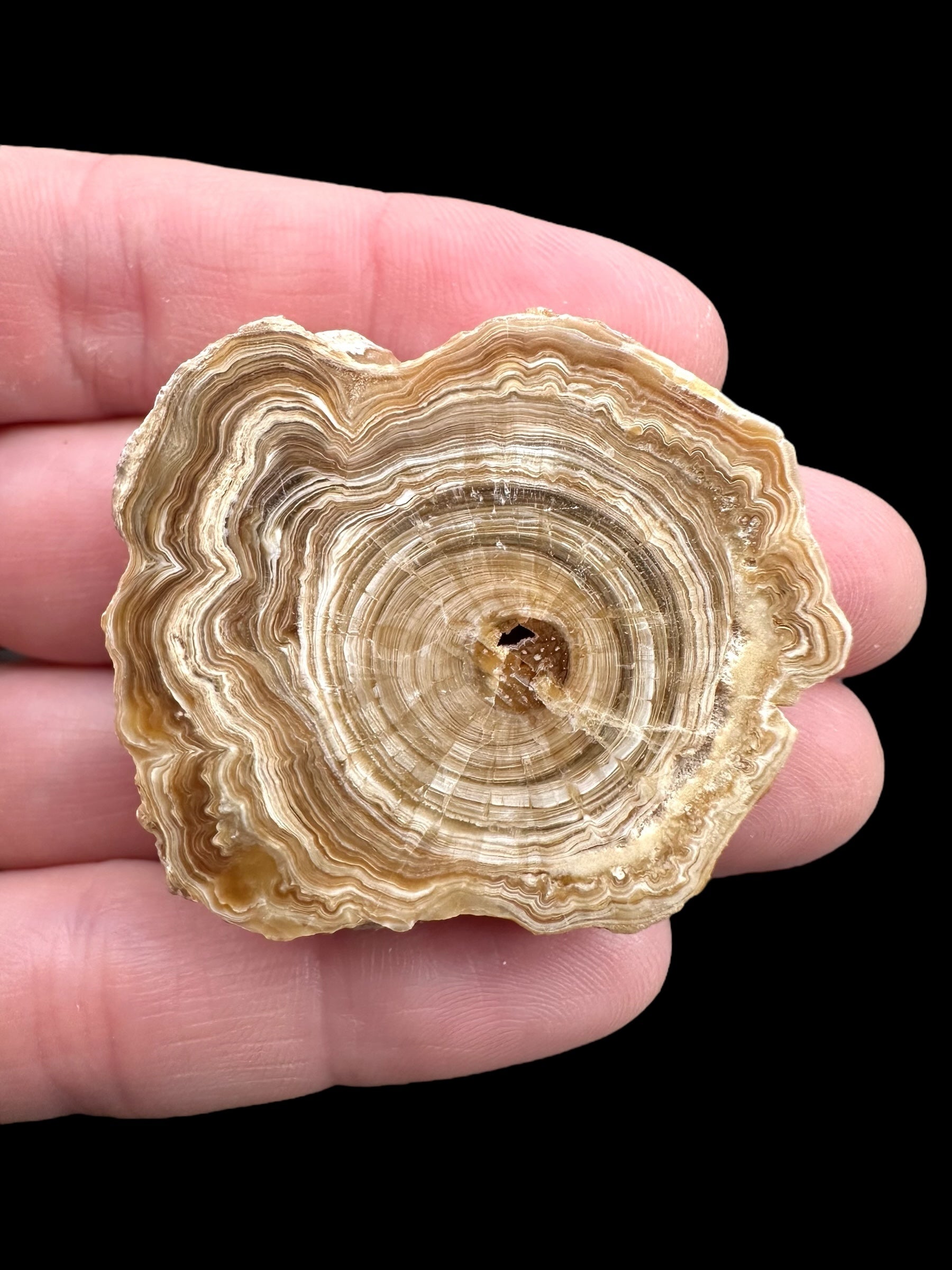 Cave calcite – Morocco