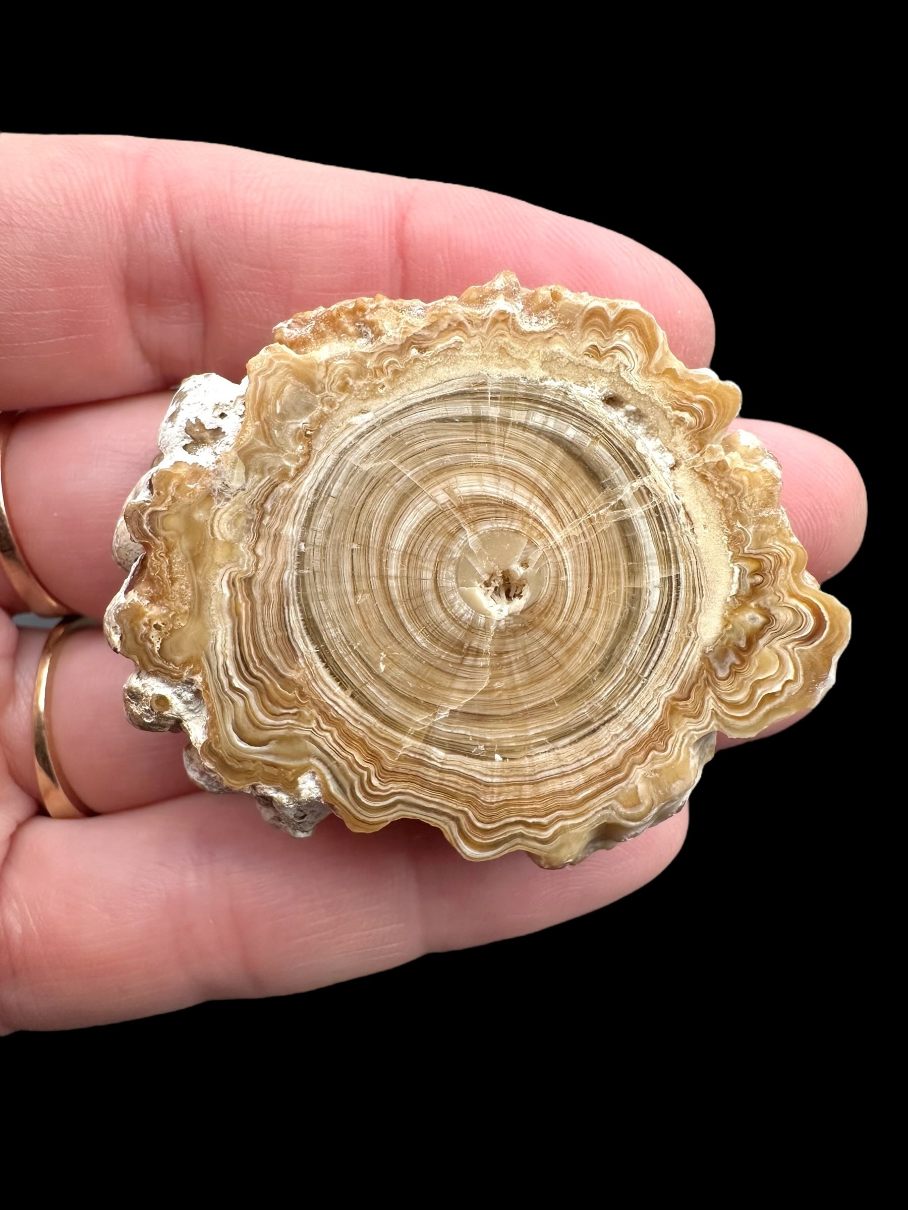 Cave calcite – Morocco - KAL006