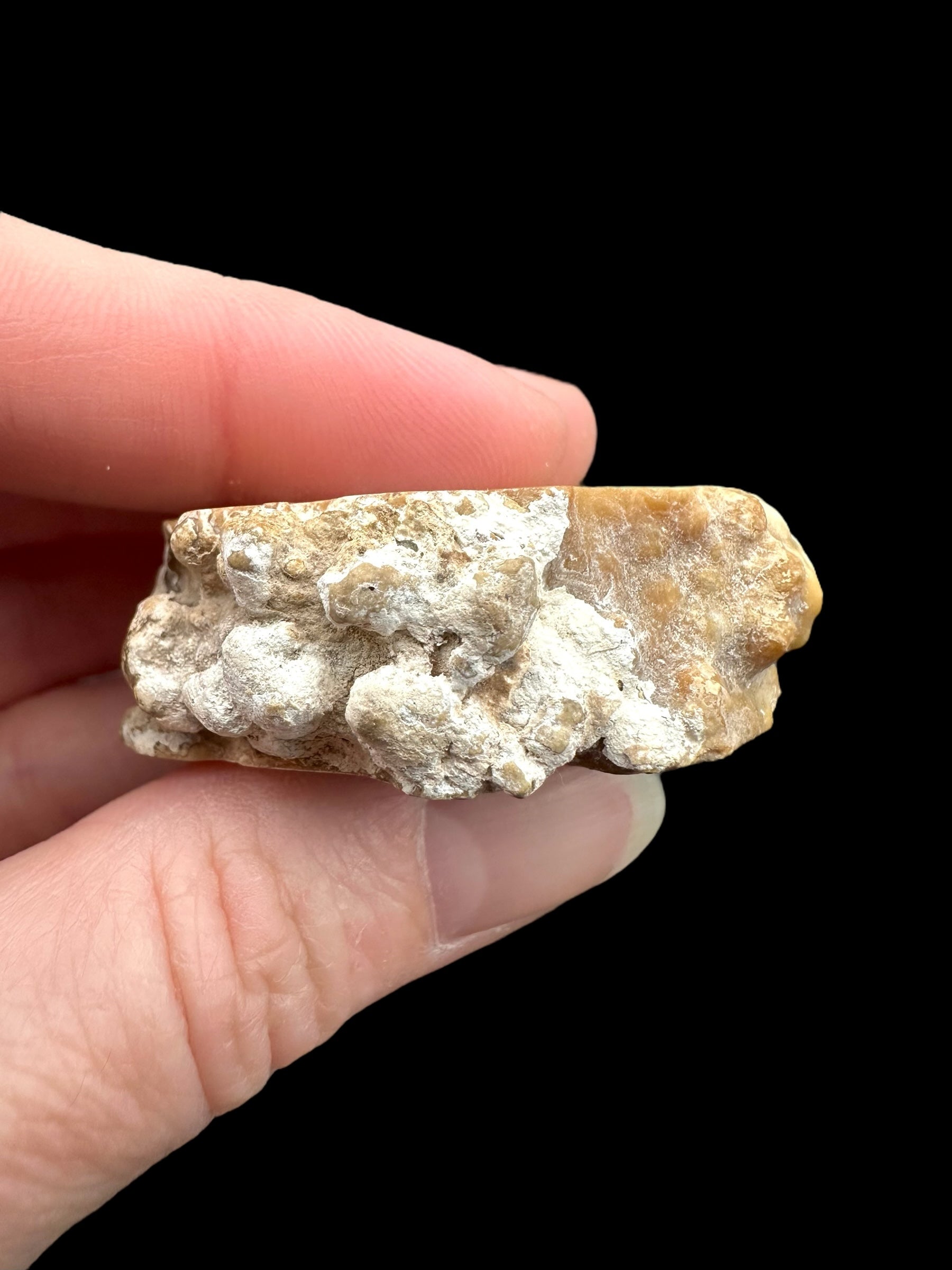 Cave calcite – Morocco - KAL006