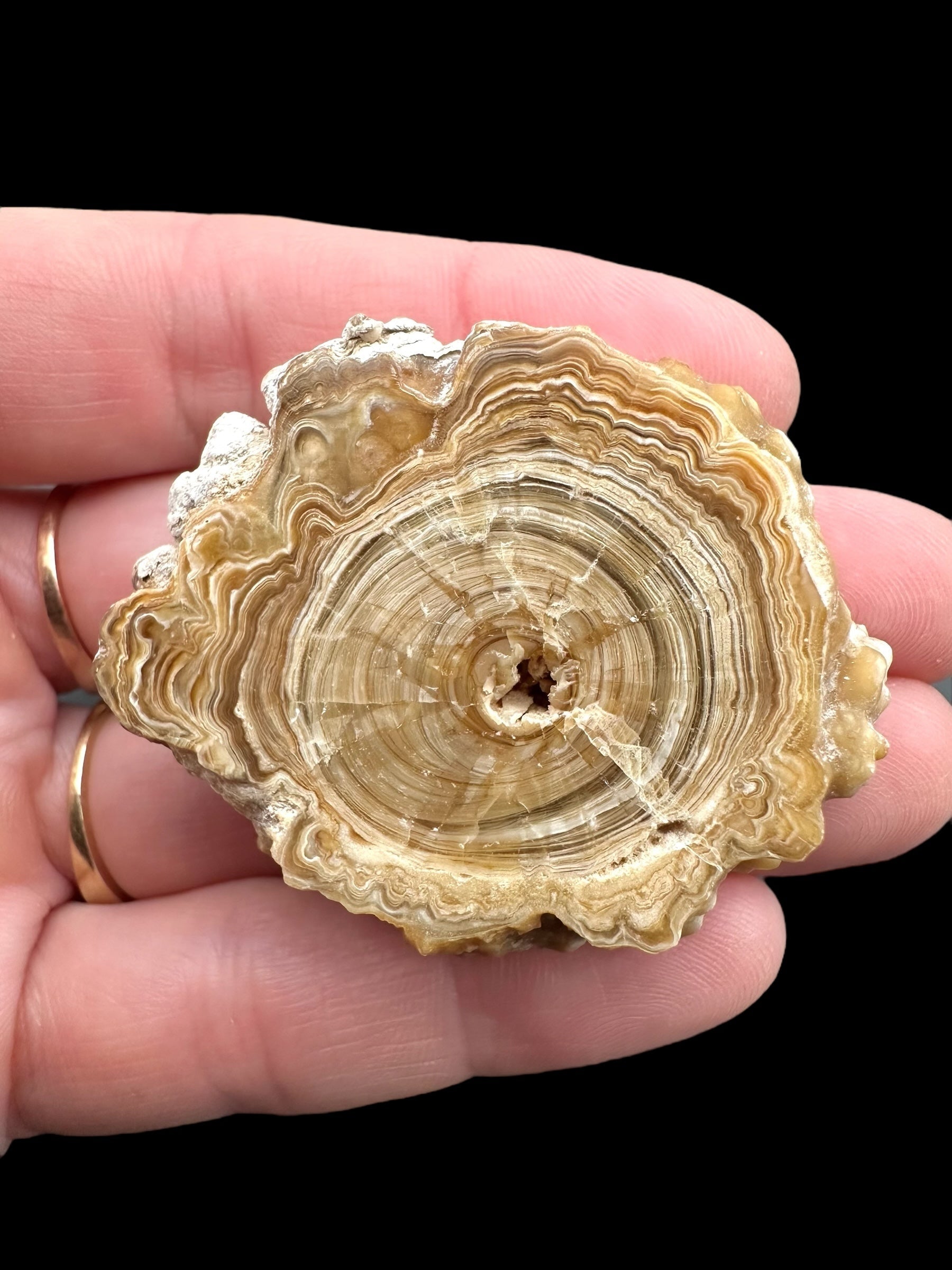 Cave calcite – Morocco