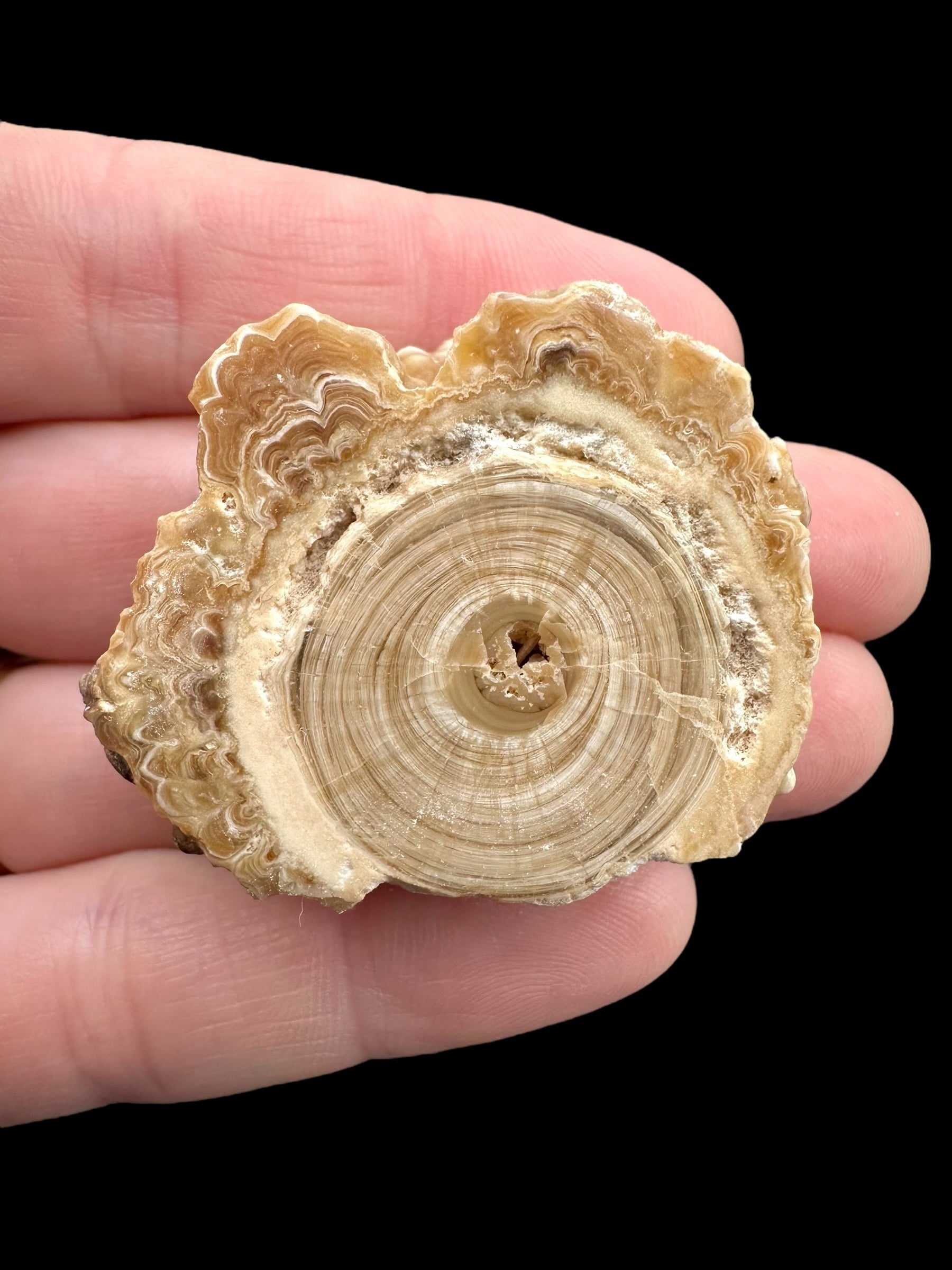 Cave calcite – Morocco - KAL007