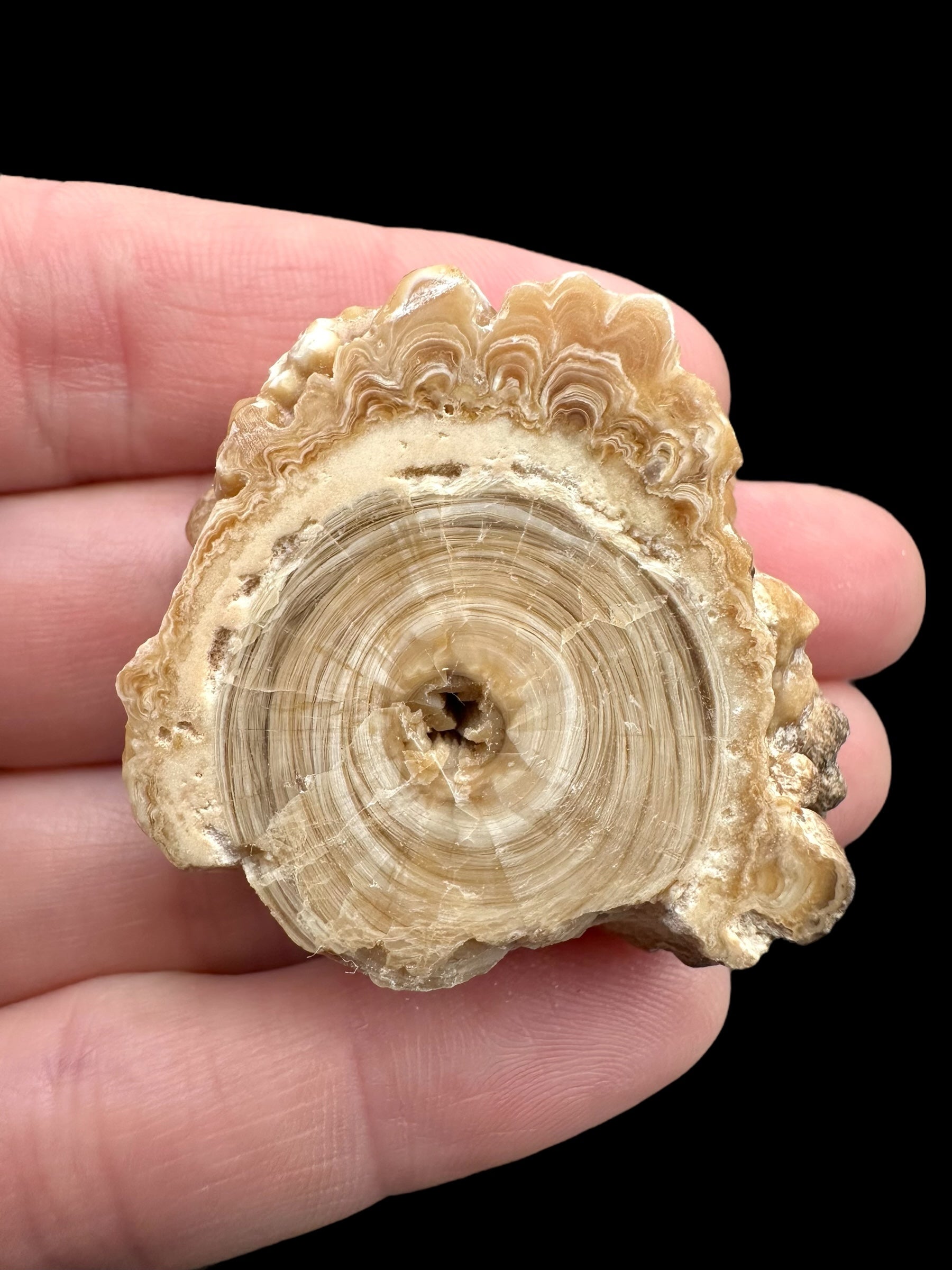 Cave calcite – Morocco