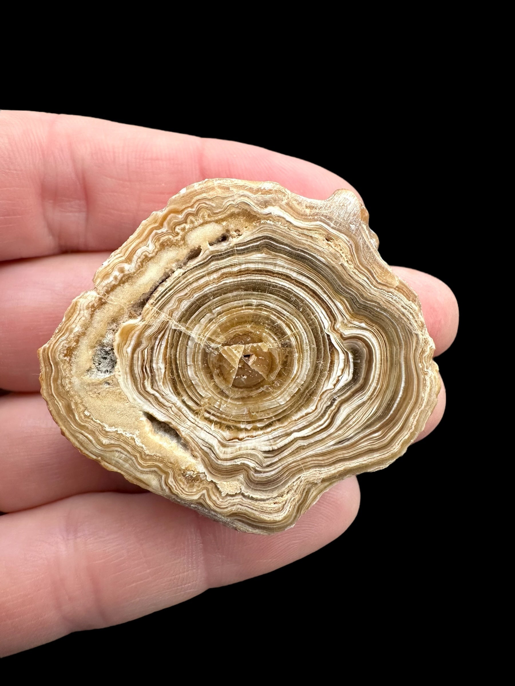 Cave calcite – Morocco - KAL008