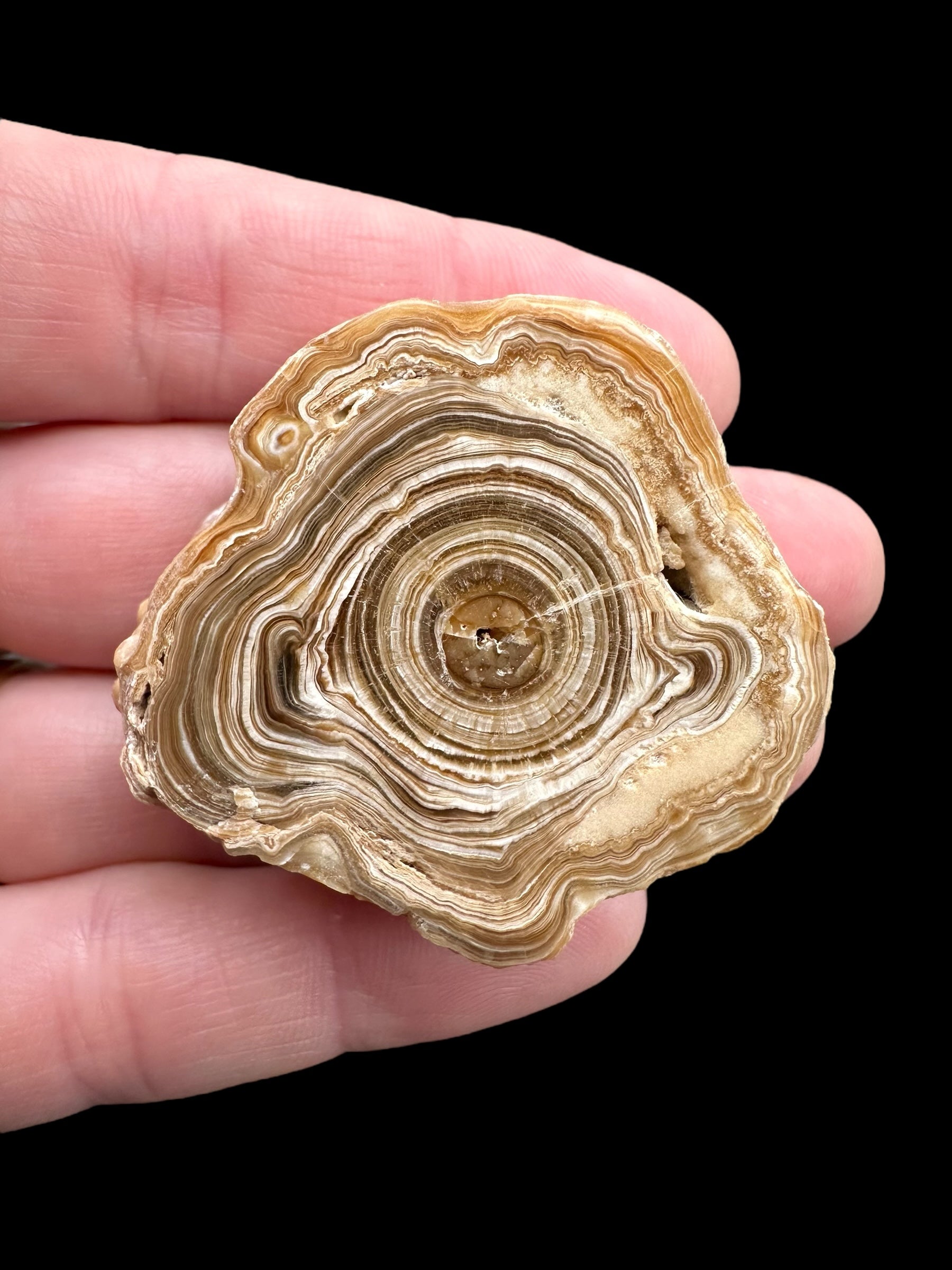 Cave calcite – Morocco
