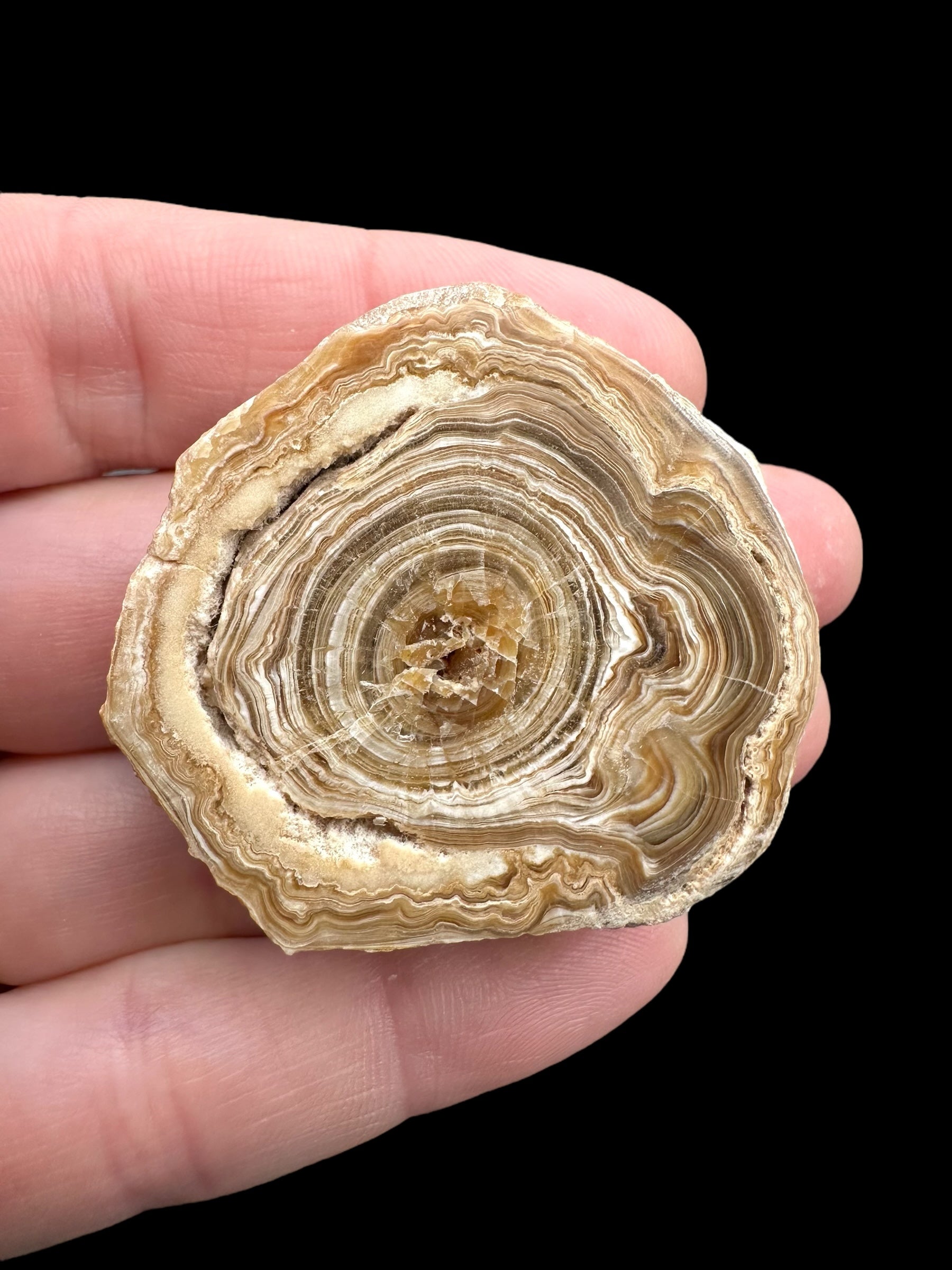Cave calcite – Morocco - KAL009