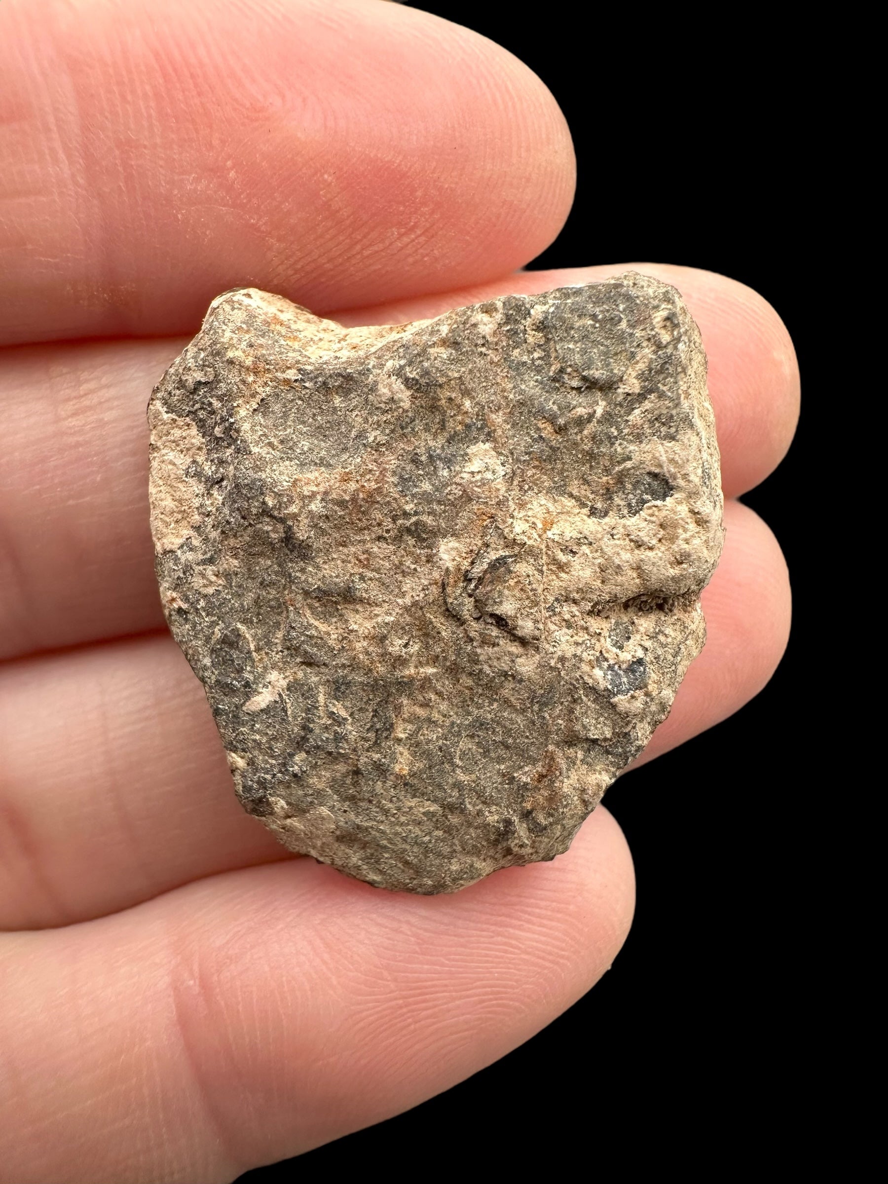 Meteorite Canyon Diablo 17,2g – Arizona, USA - MECD36