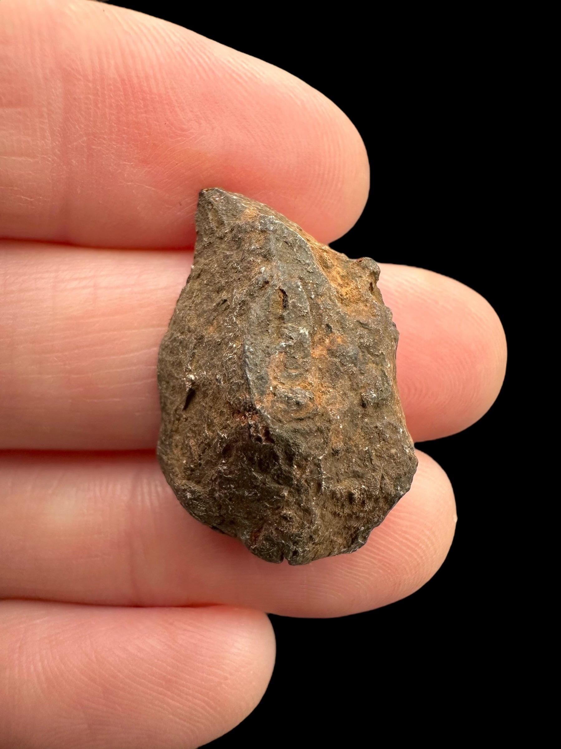 Meteorite Canyon Diablo 8,3g – Arizona, USA - MECD37