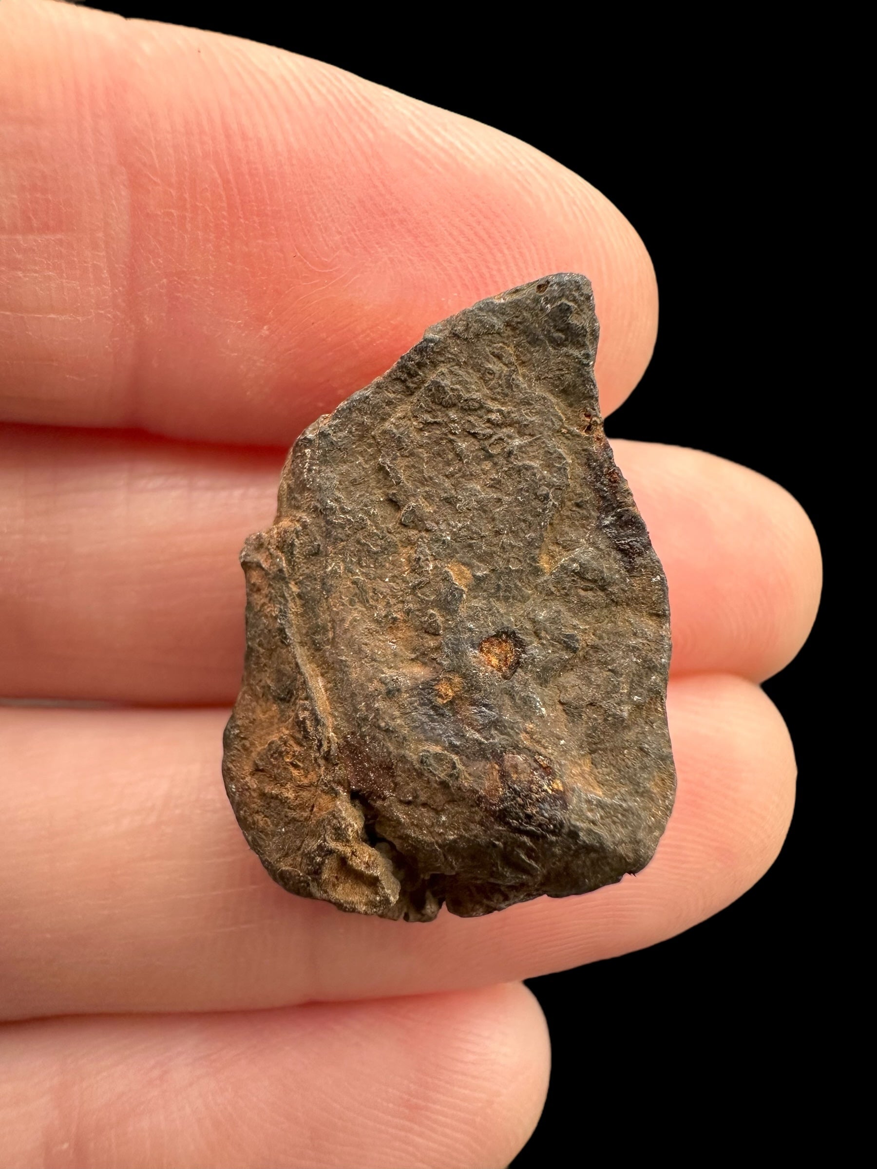 Meteorite Canyon Diablo 8,3g – Arizona, USA