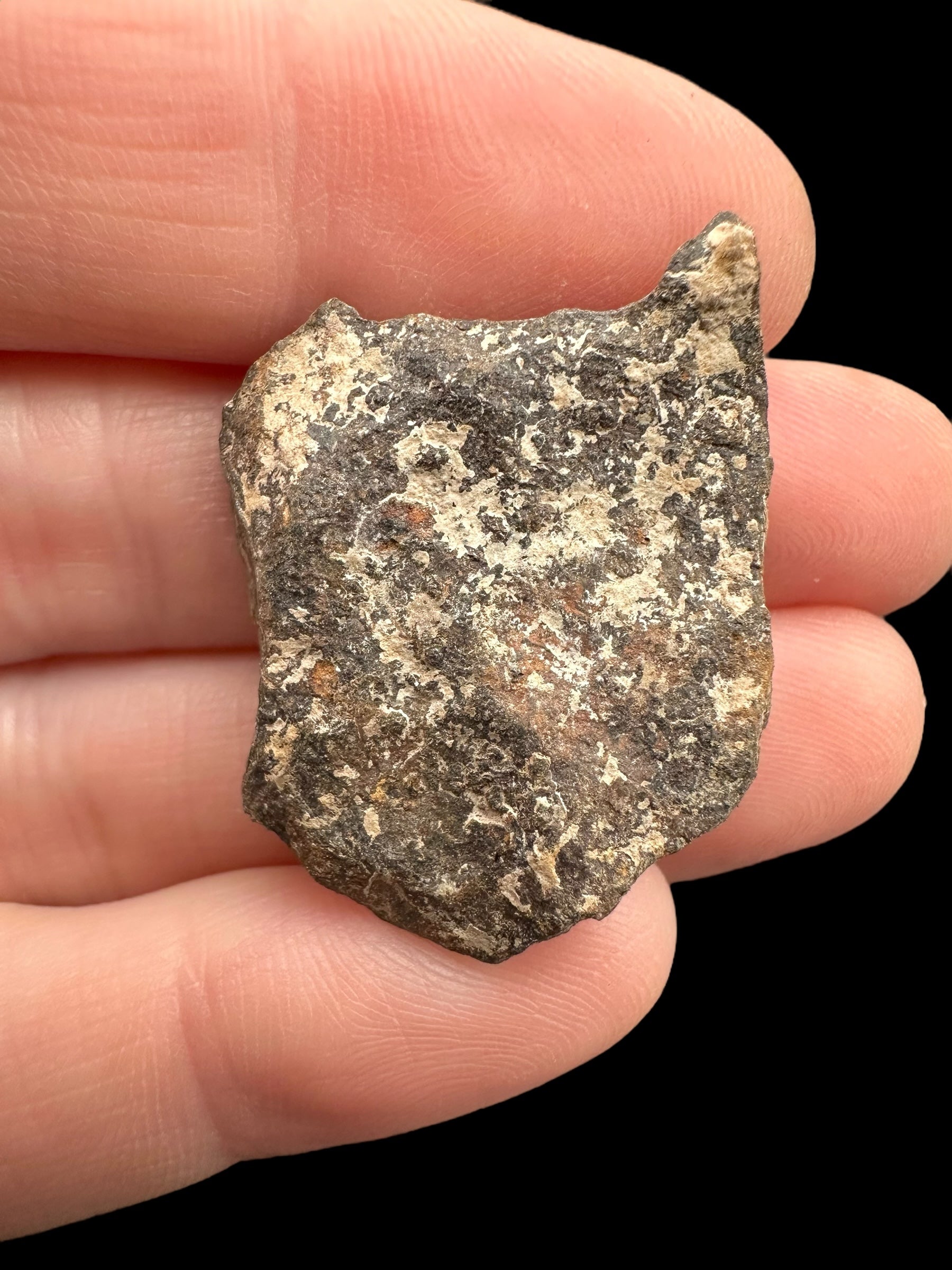 Meteorite Canyon Diablo 13g – Arizona, USA - MECD39