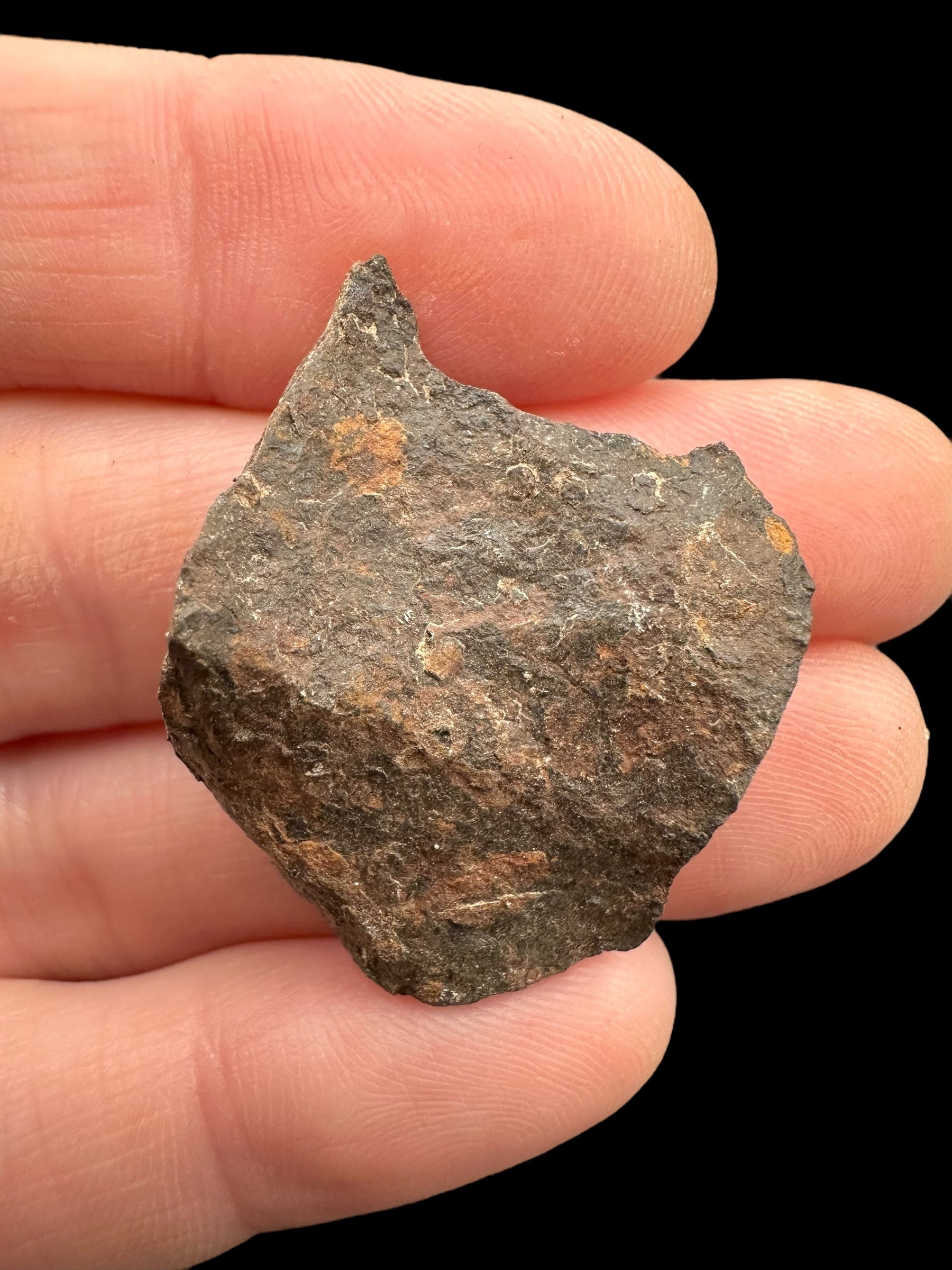 Meteorite Canyon Diablo 13g – Arizona, USA