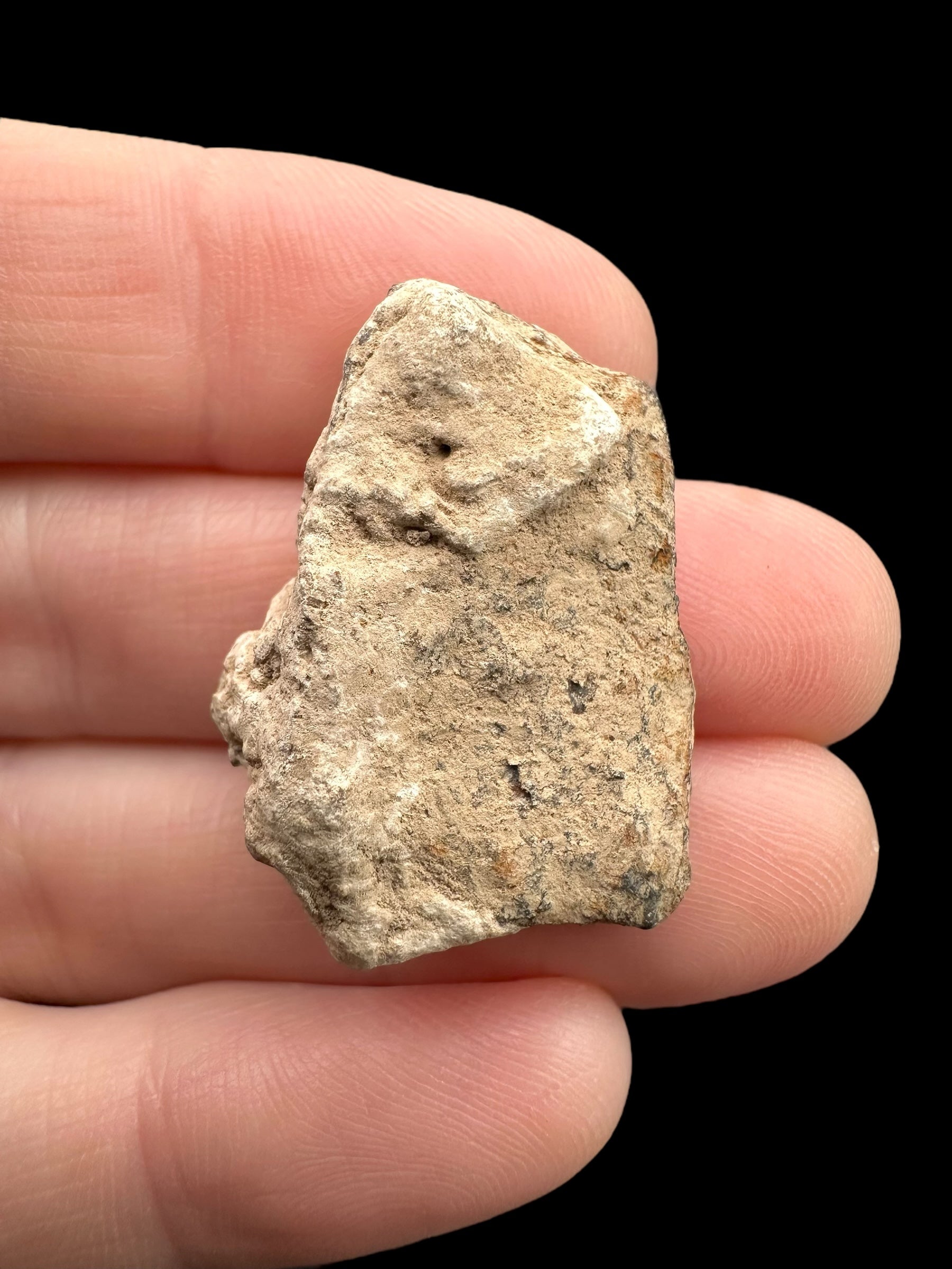 Meteorite Canyon Diablo 15,4g – Arizona, USA - MECD41