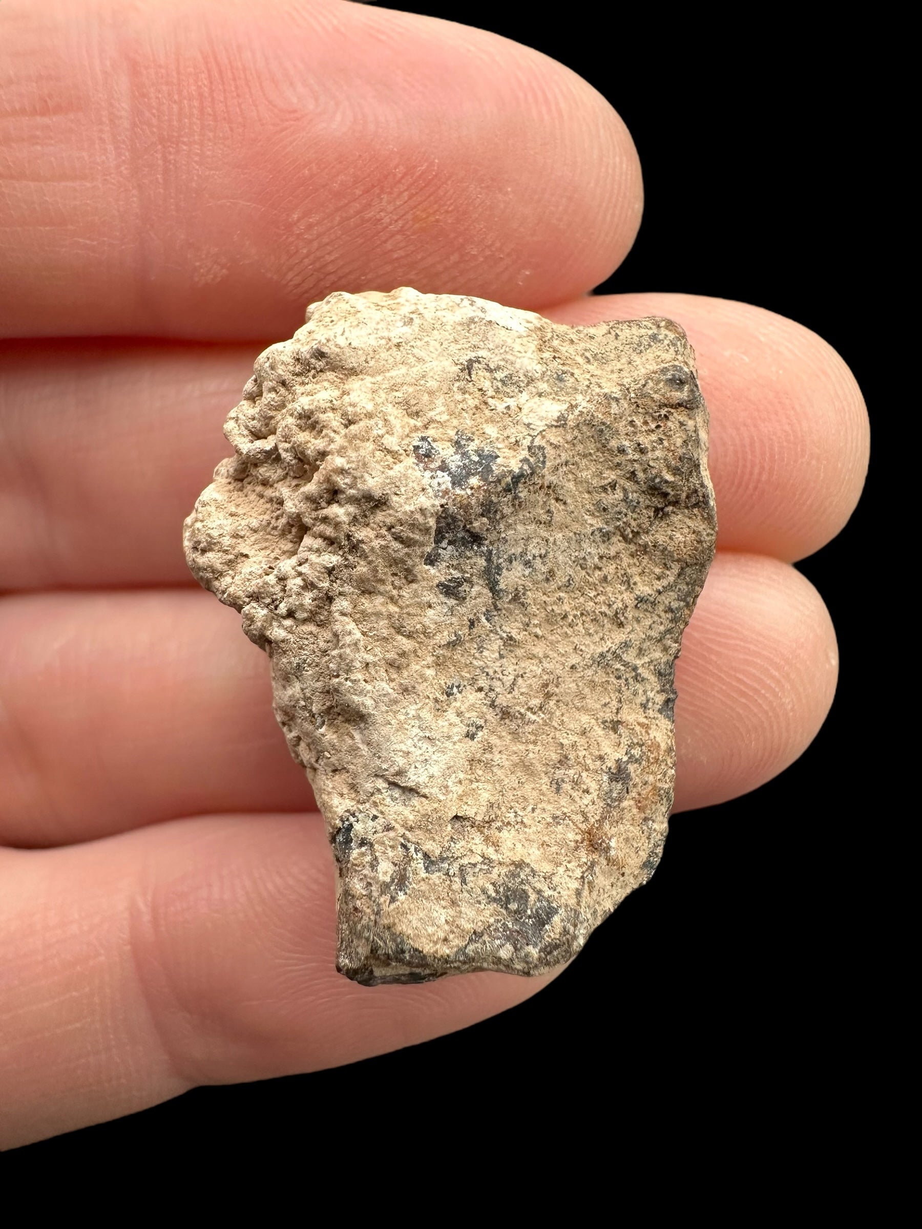Meteorite Canyon Diablo 15,4g – Arizona, USA